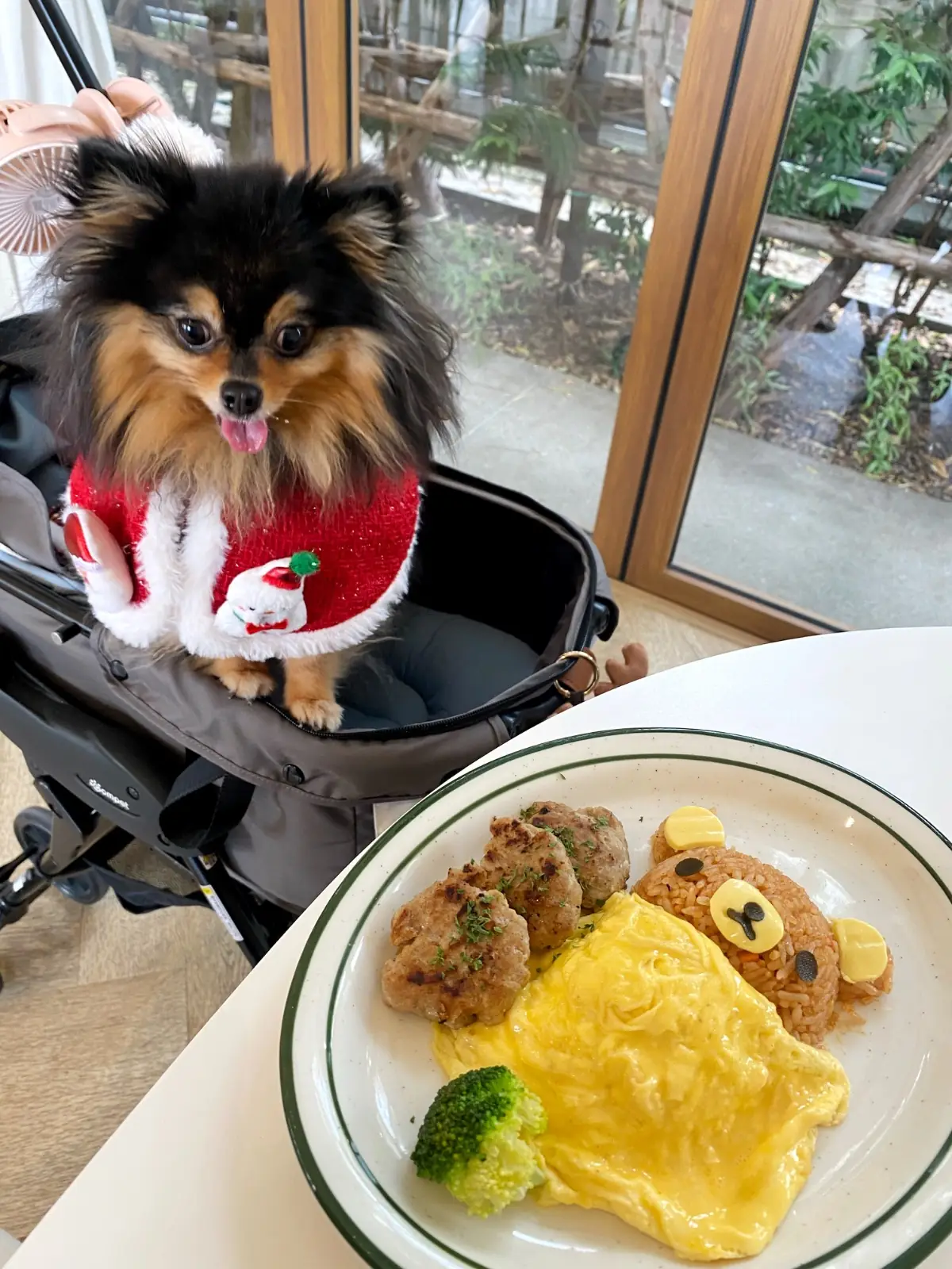 Ganicco Farm food image 2