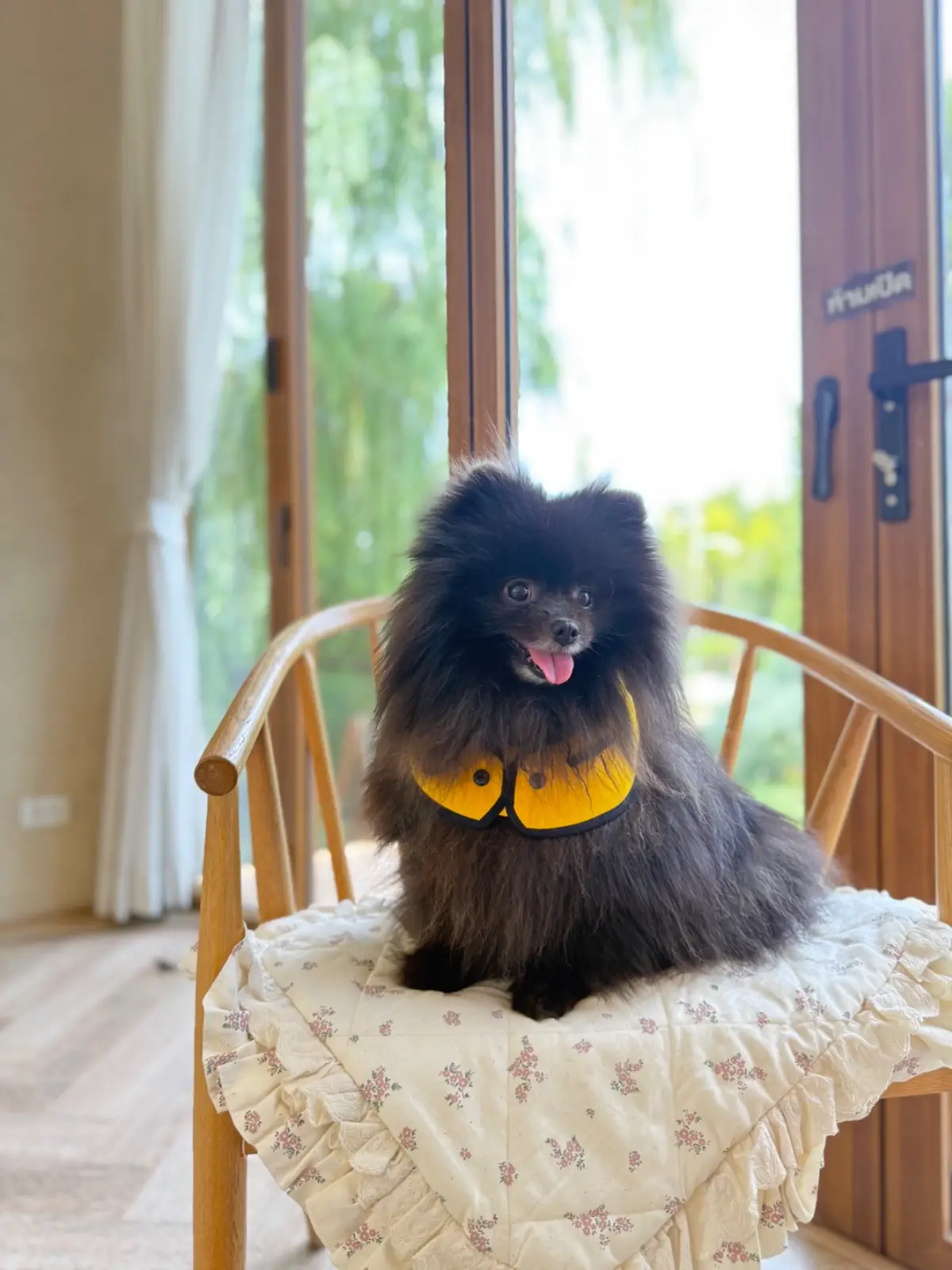 Ganicco Cafe & Farm pets image 6