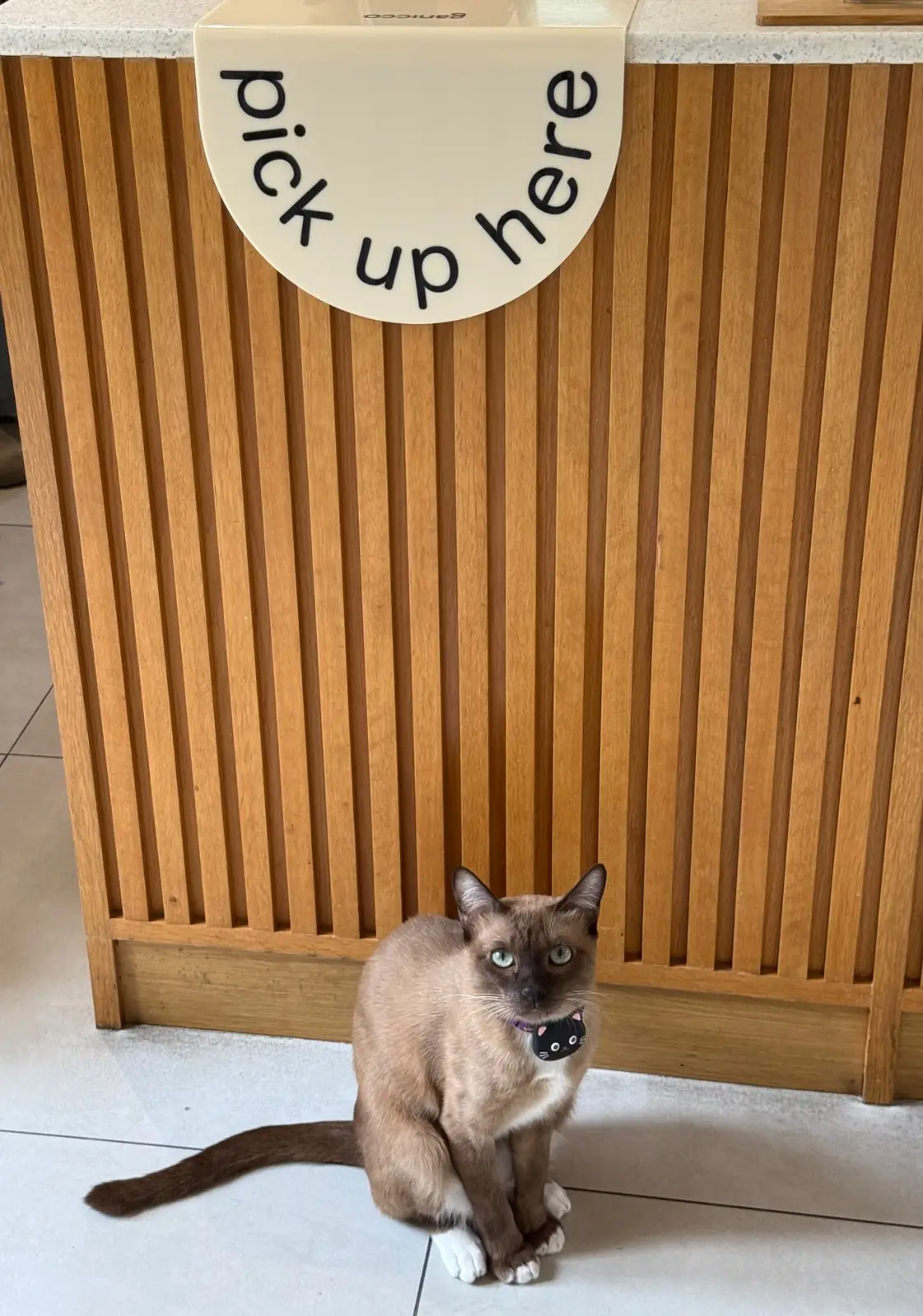 Ganicco Cafe & Farm pets image 5