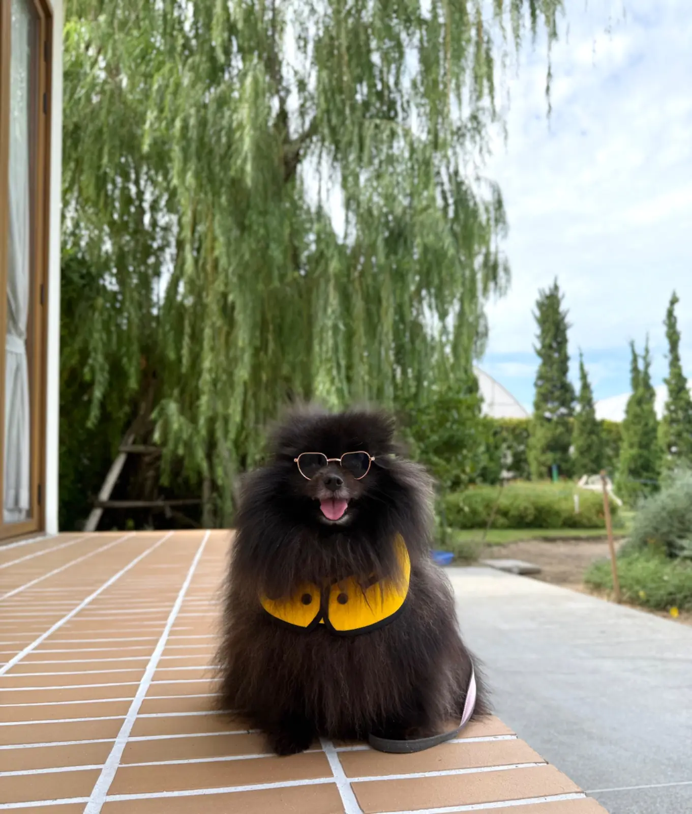 Ganicco Cafe & Farm pets image 8