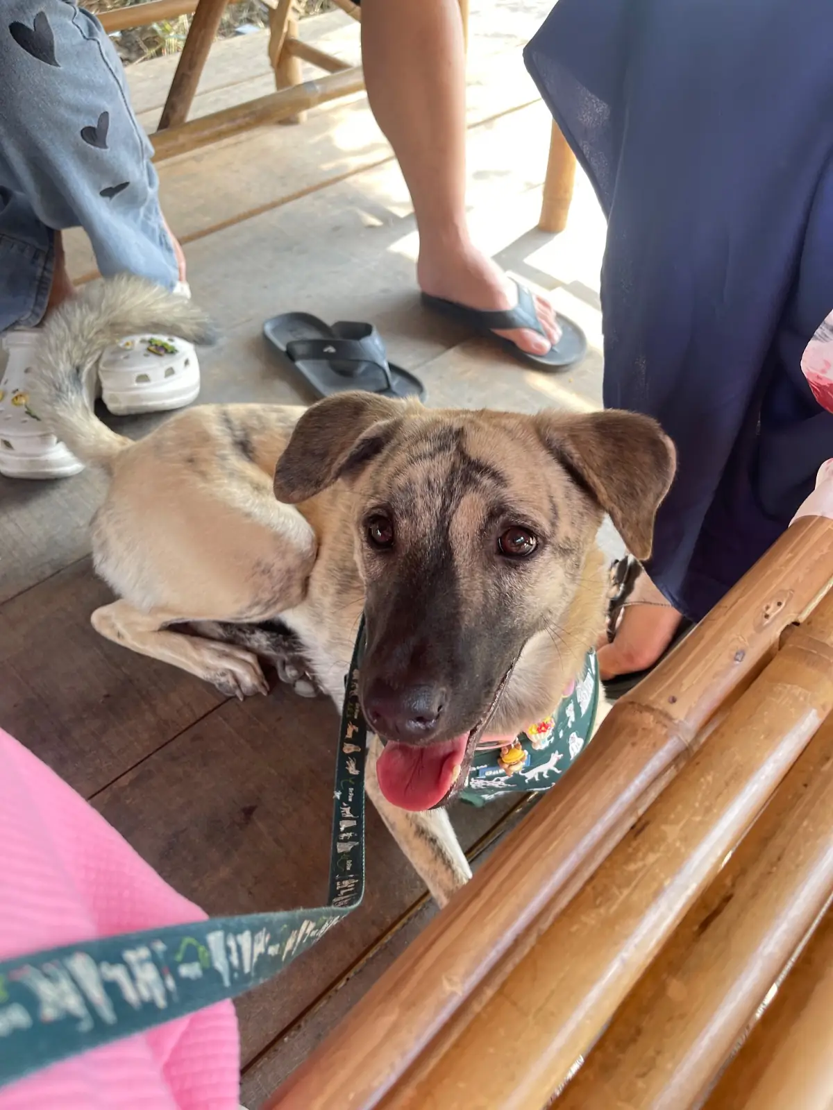 ครัวปลาเถื่อน pets image 1