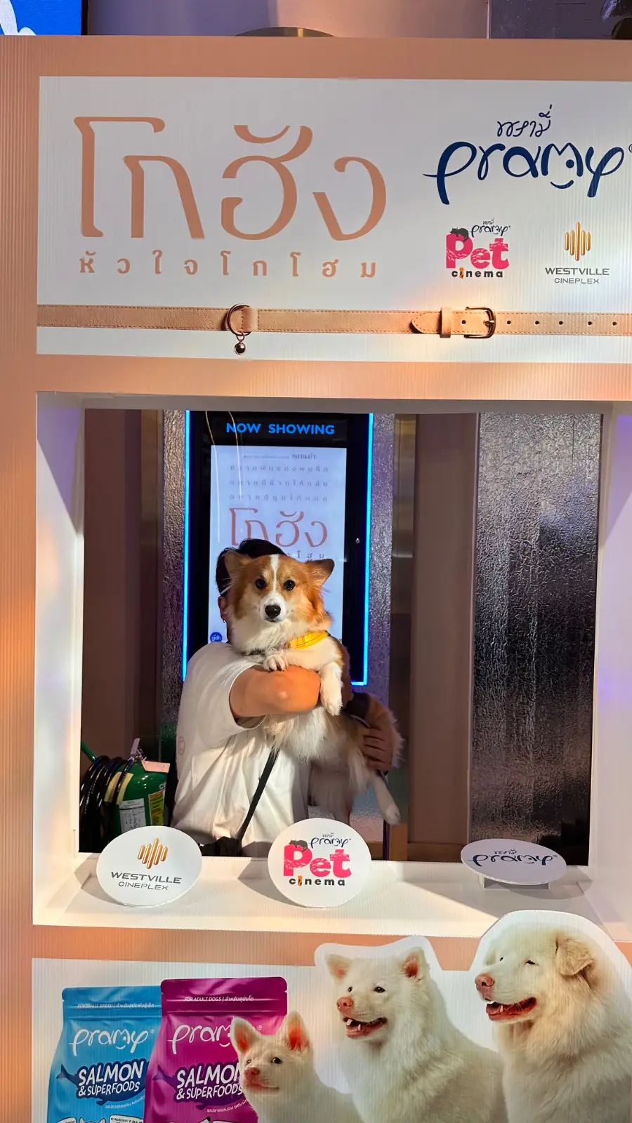 เซ็นทรัล เวสต์วิลล์ pets image 5