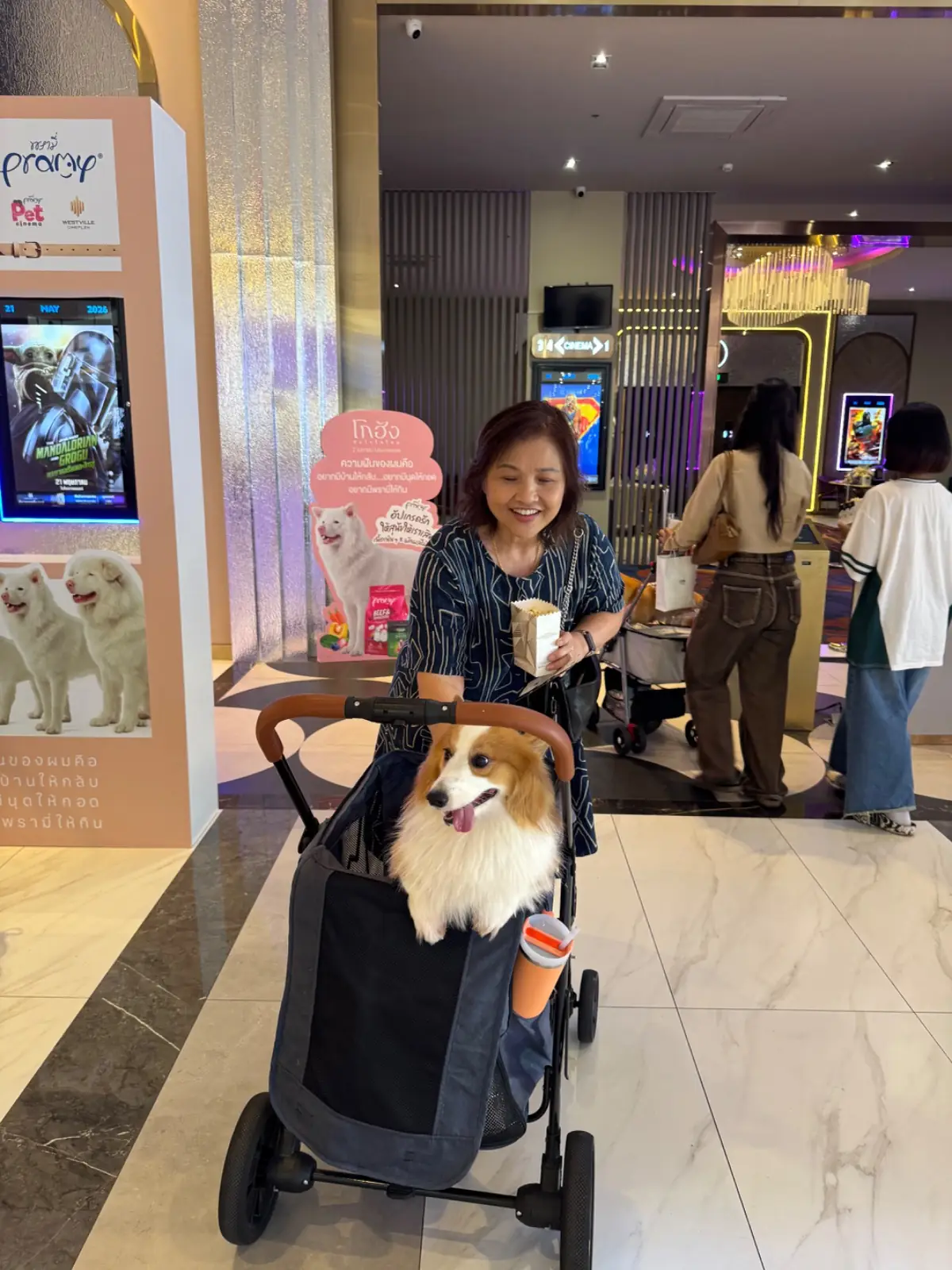 เซ็นทรัล เวสต์วิลล์ pets image 8