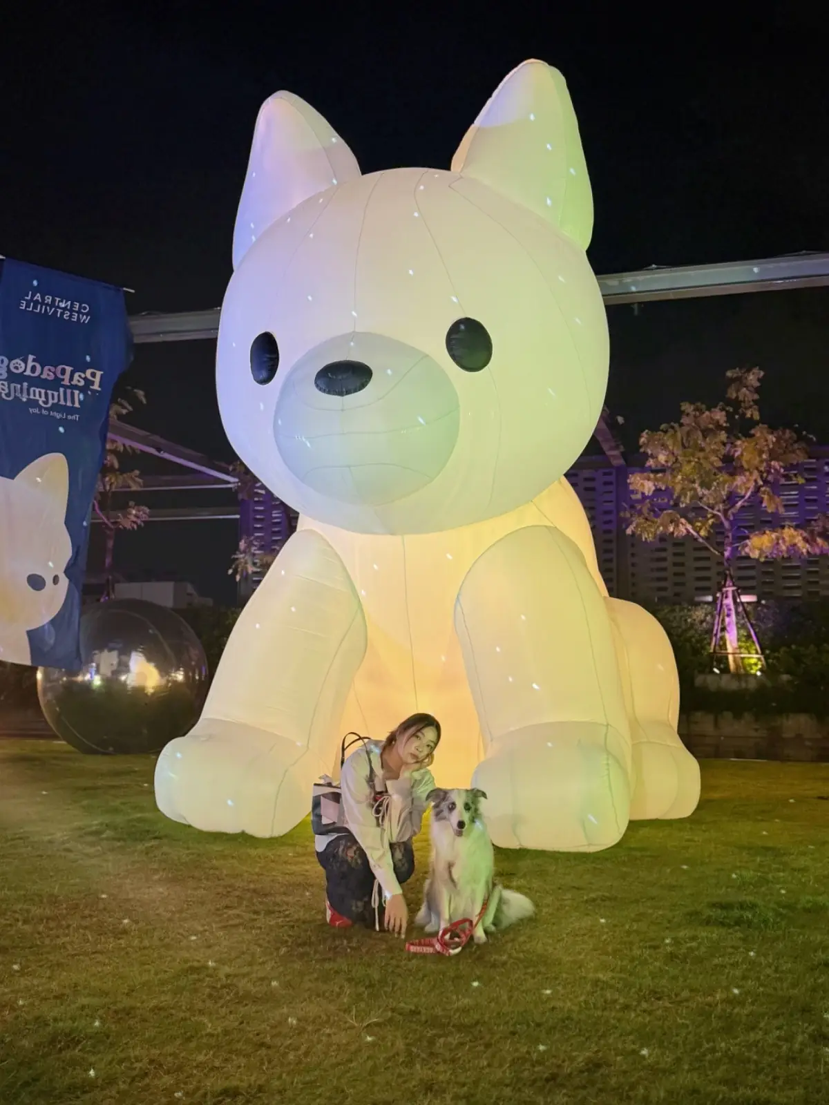 Central Westville pets image 16
