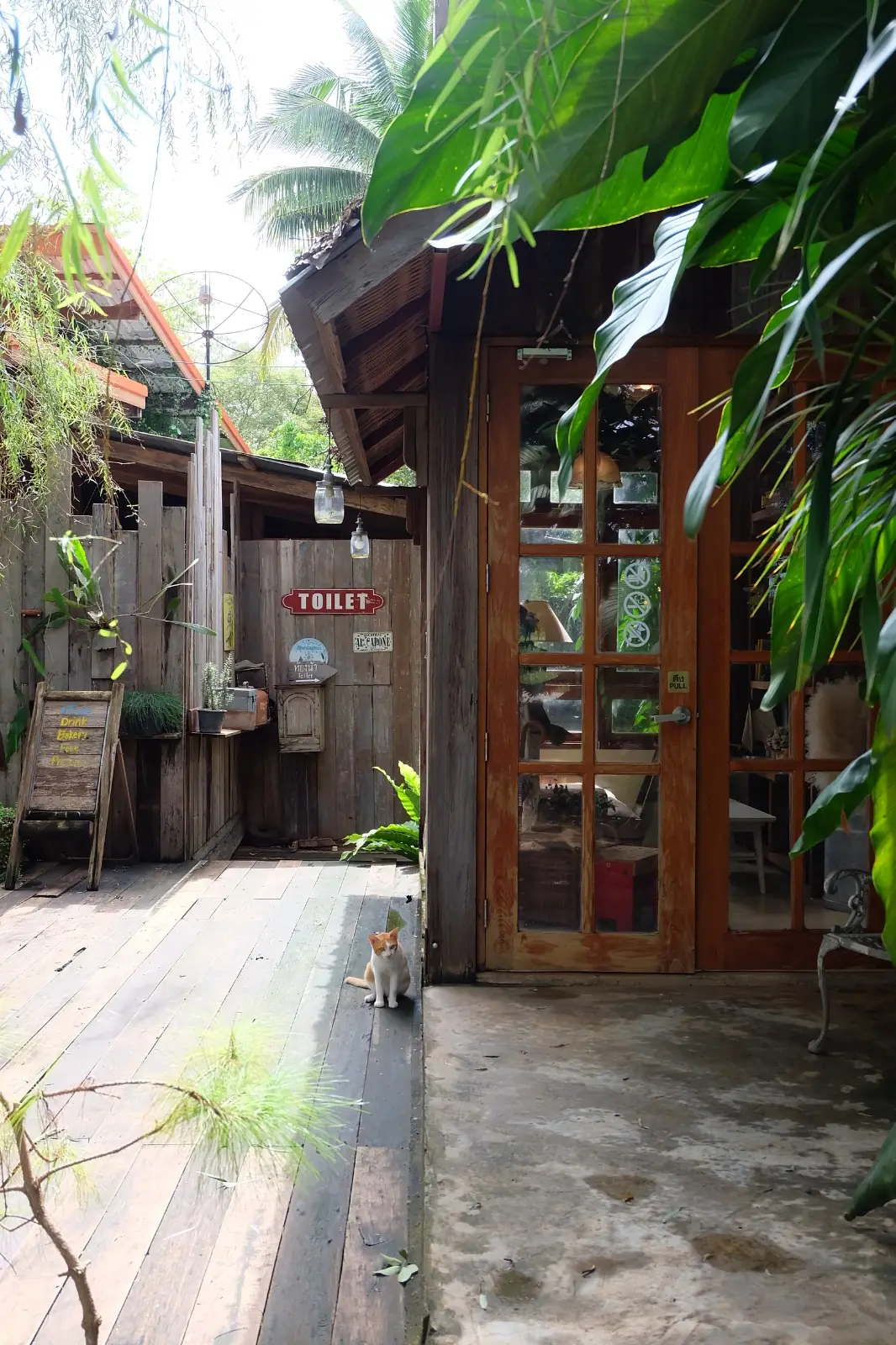 ทรี คาเฟ่ pets image 2