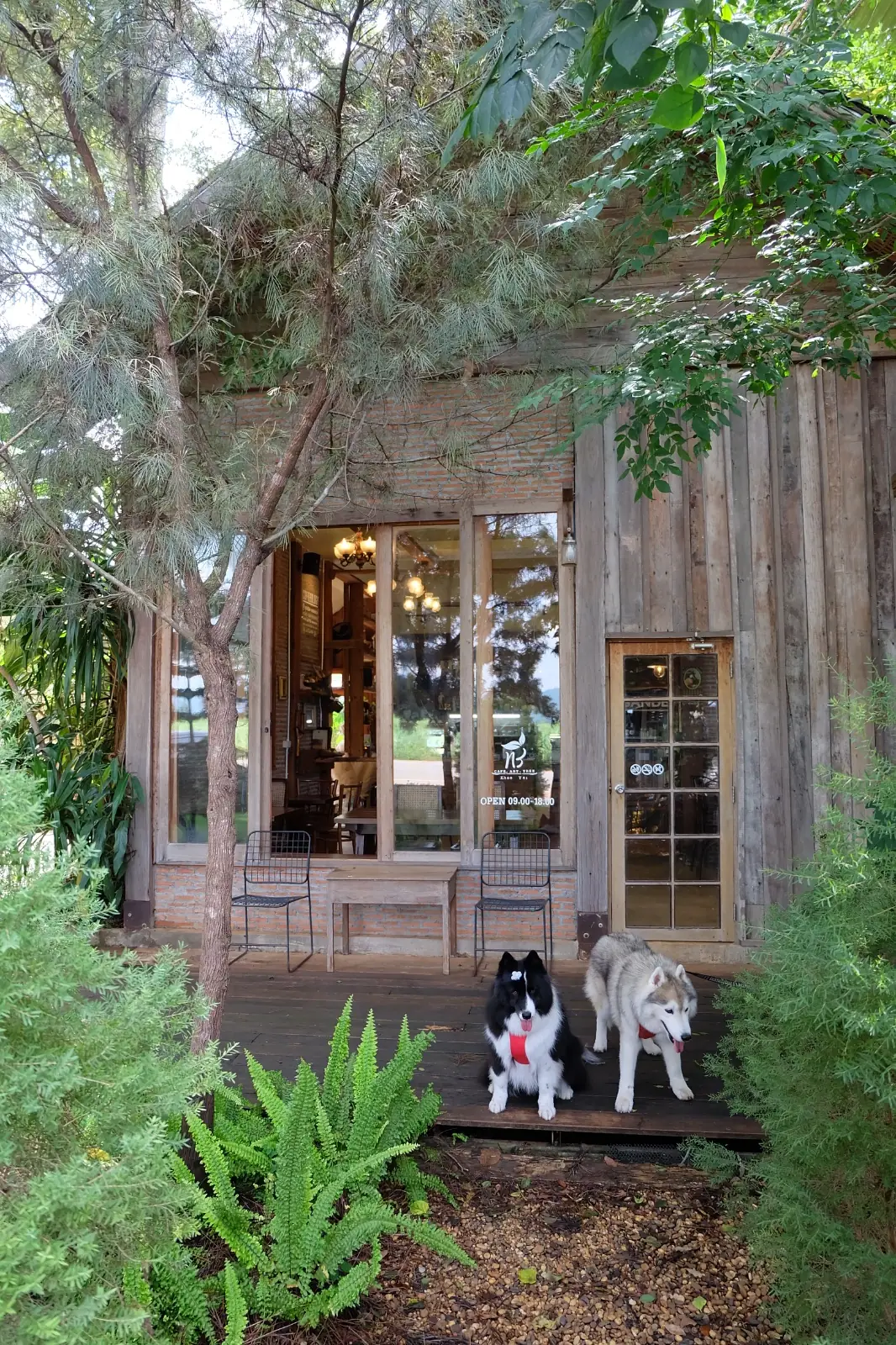 ทรี คาเฟ่ pets image 1