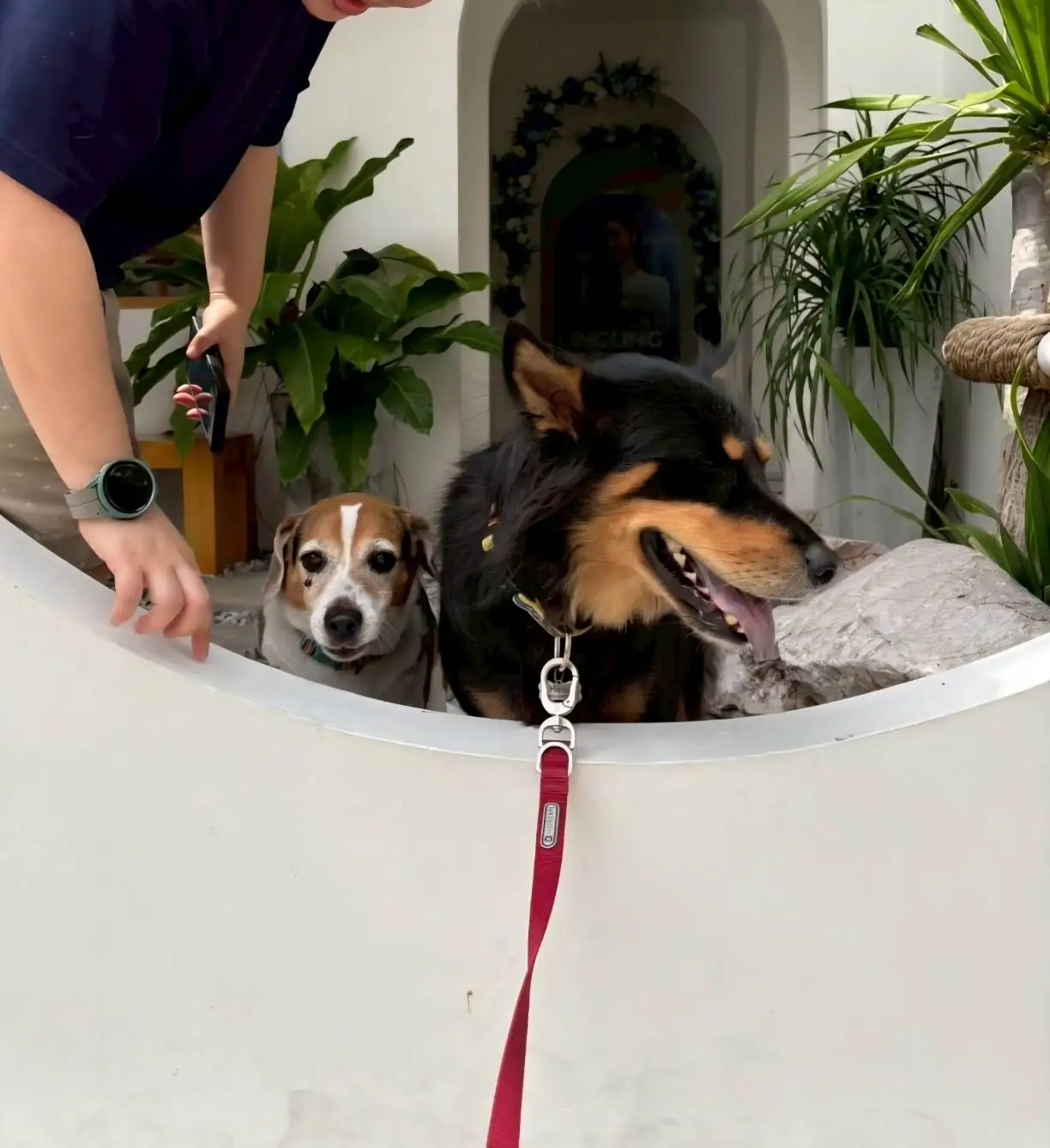 Dear December Cafe ambiance image 1