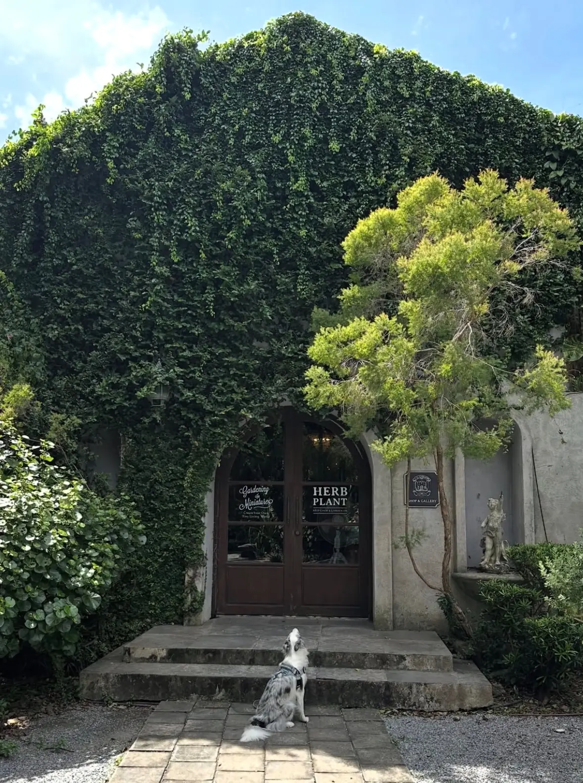 ELLE Café Pattaya ambiance image 1