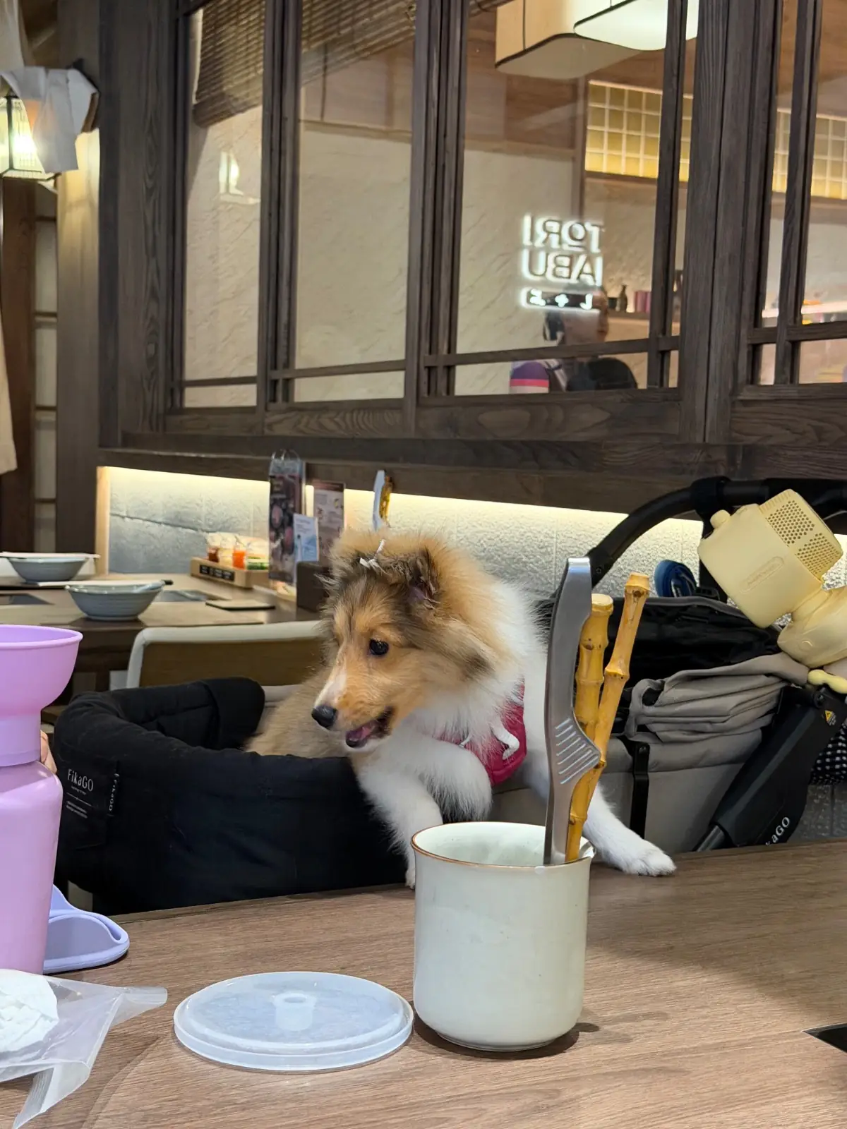 Hitori Shabu - Central Westville pets image 1