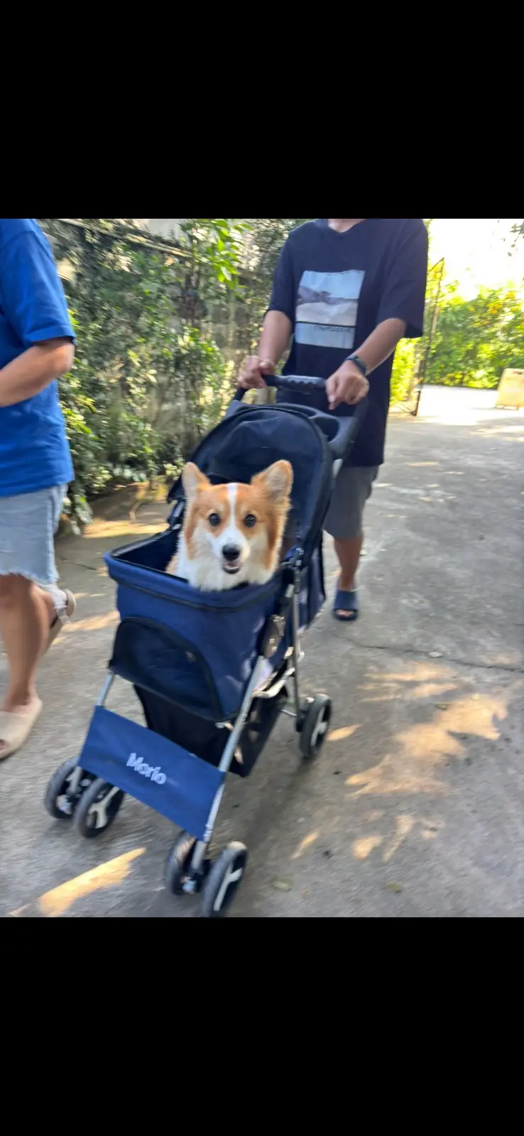 Double P Home Cafe pets image 1