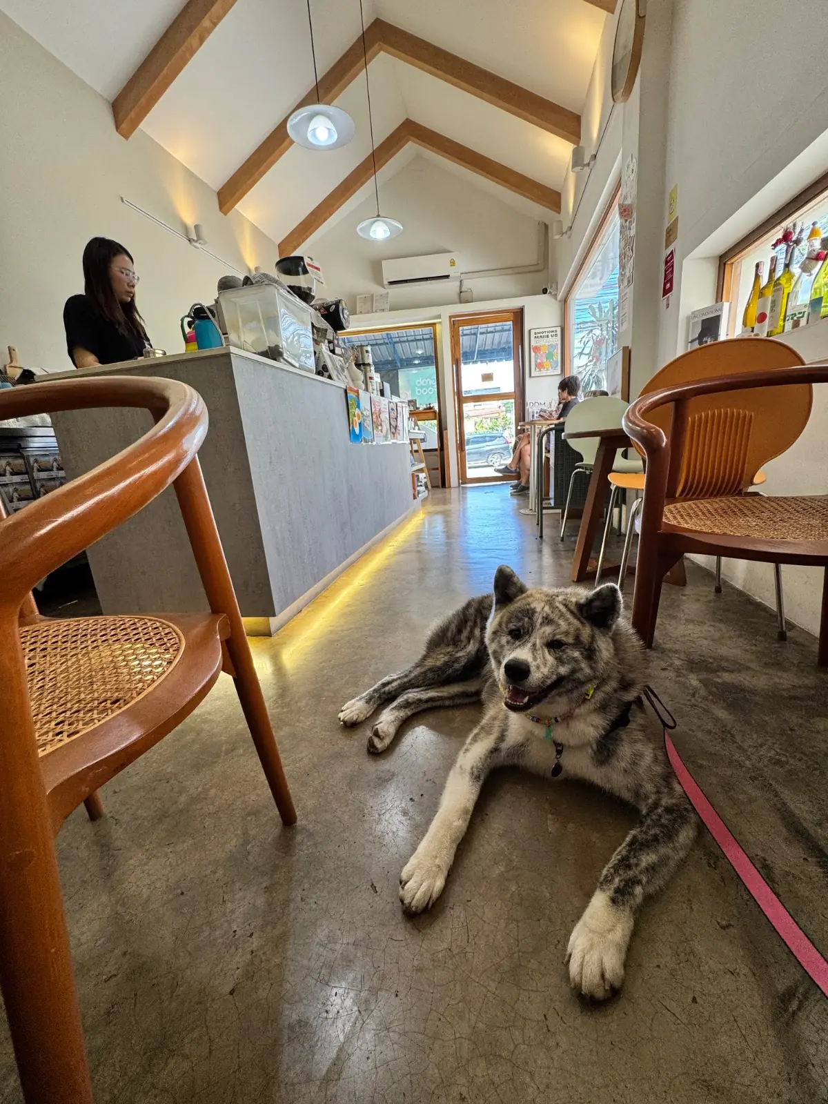 In Good Hands Coffee & Bakery pets image 1