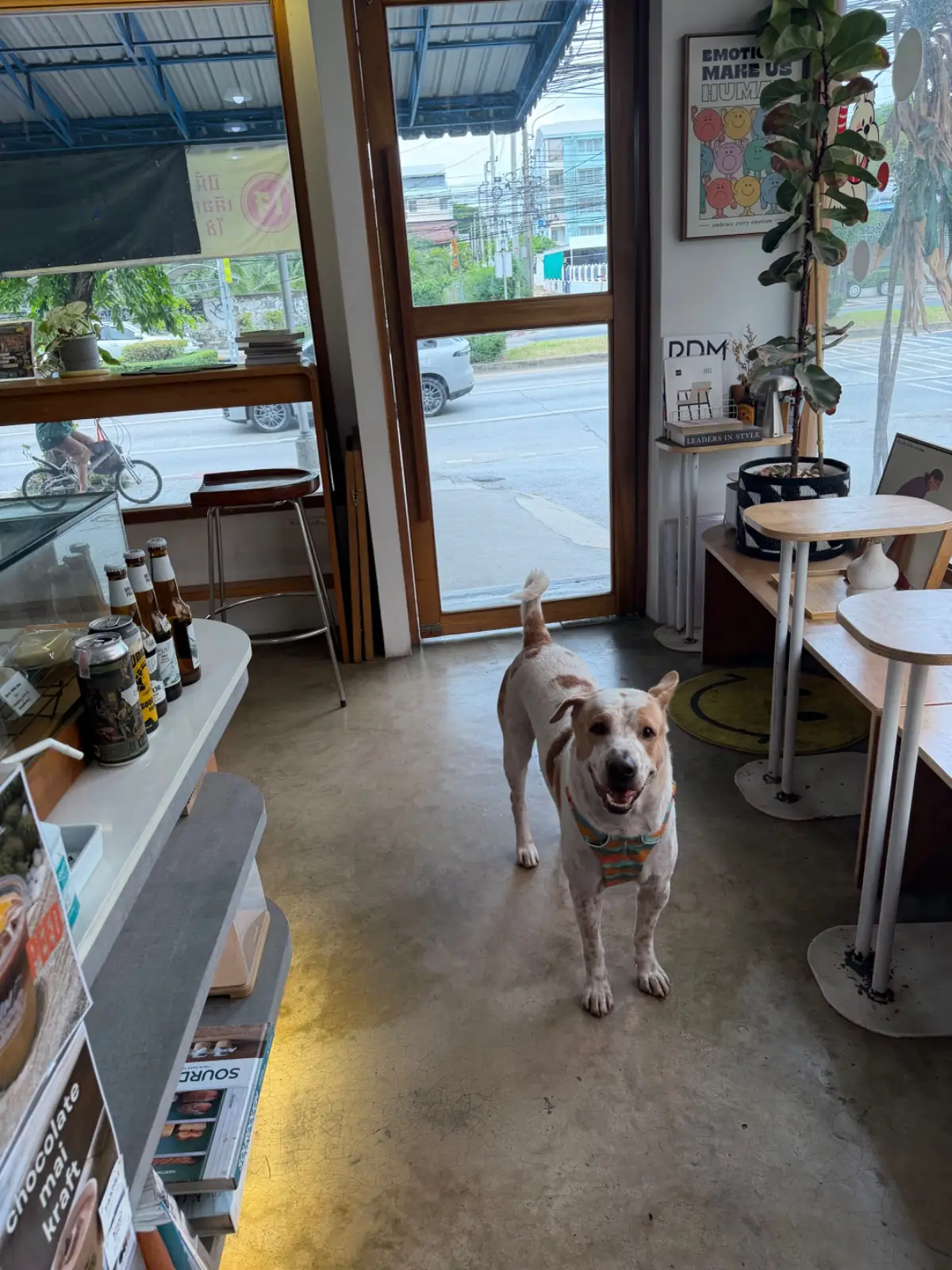 In Good Hands Coffee & Bakery pets image 6