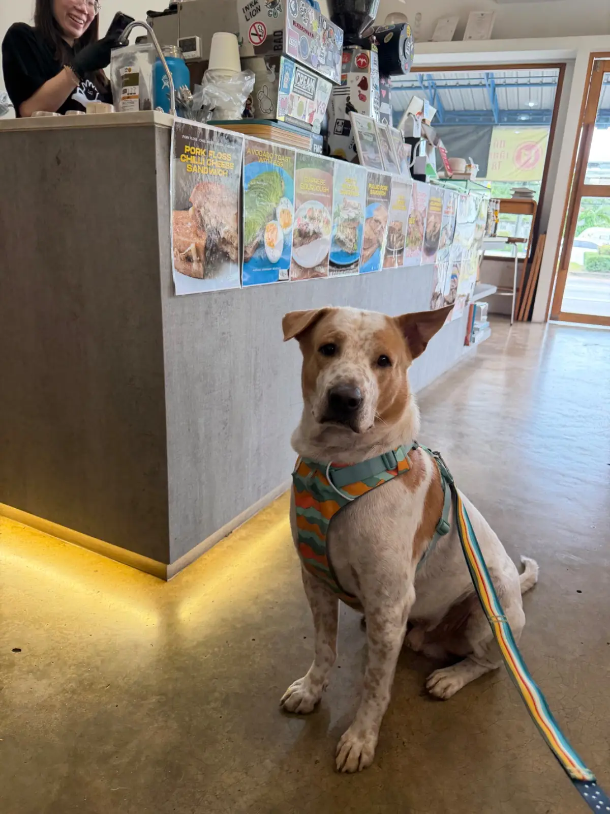 In Good Hands Coffee & Bakery pets image 3