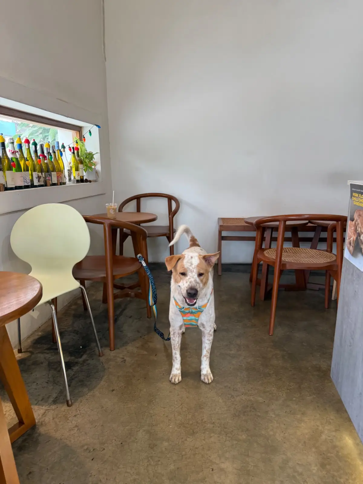 In Good Hands Coffee & Bakery pets image 4