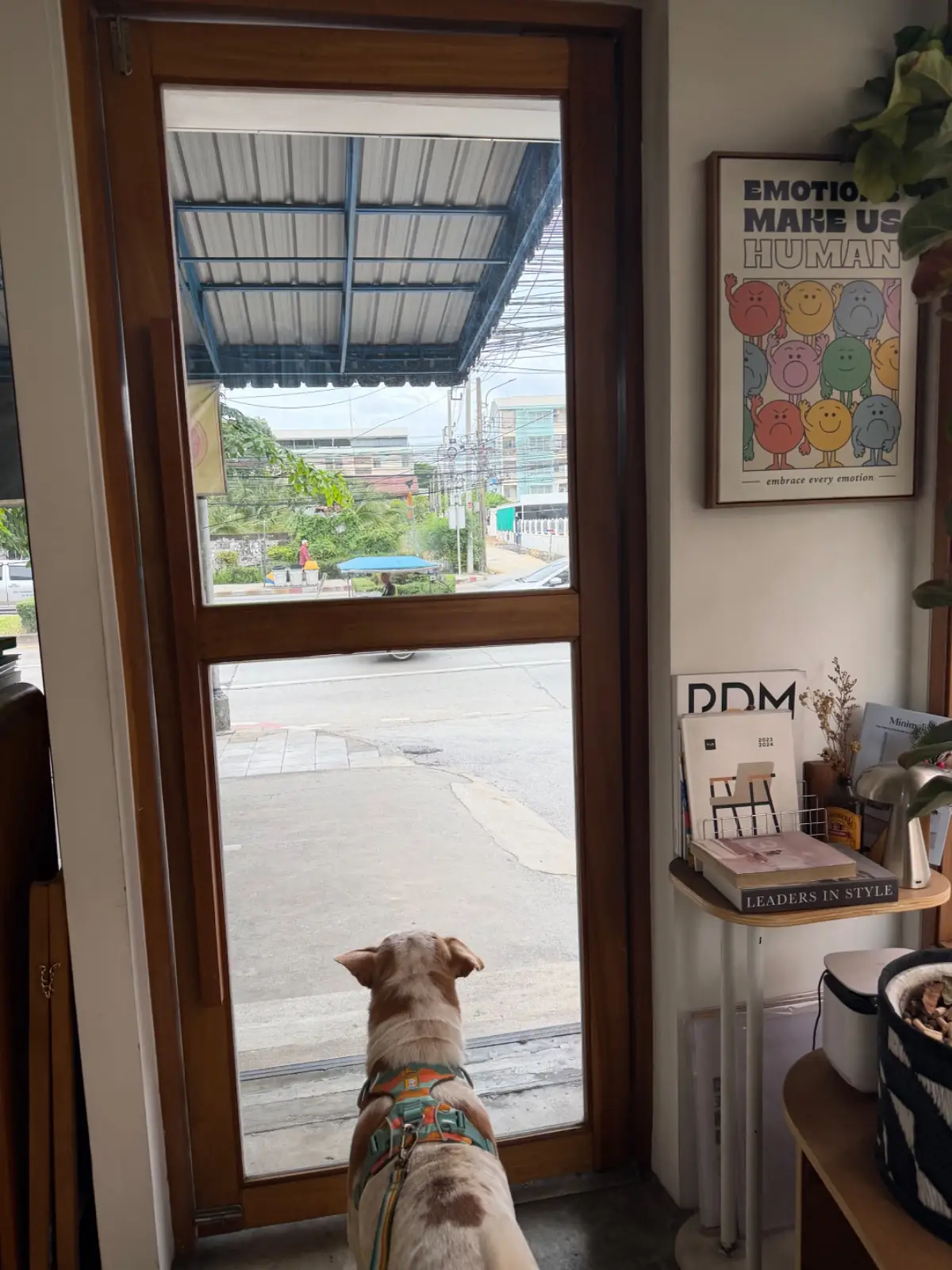 In Good Hands Coffee & Bakery pets image 7