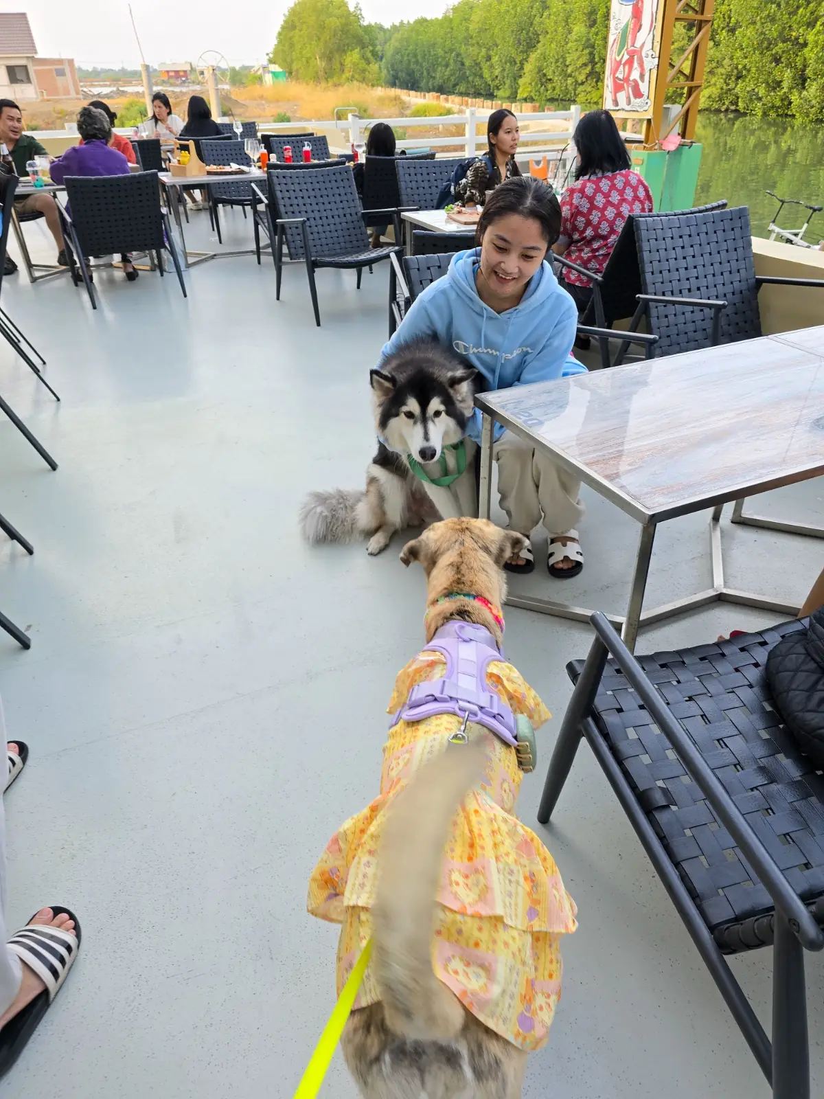 U Cafe & Craft pets image 4