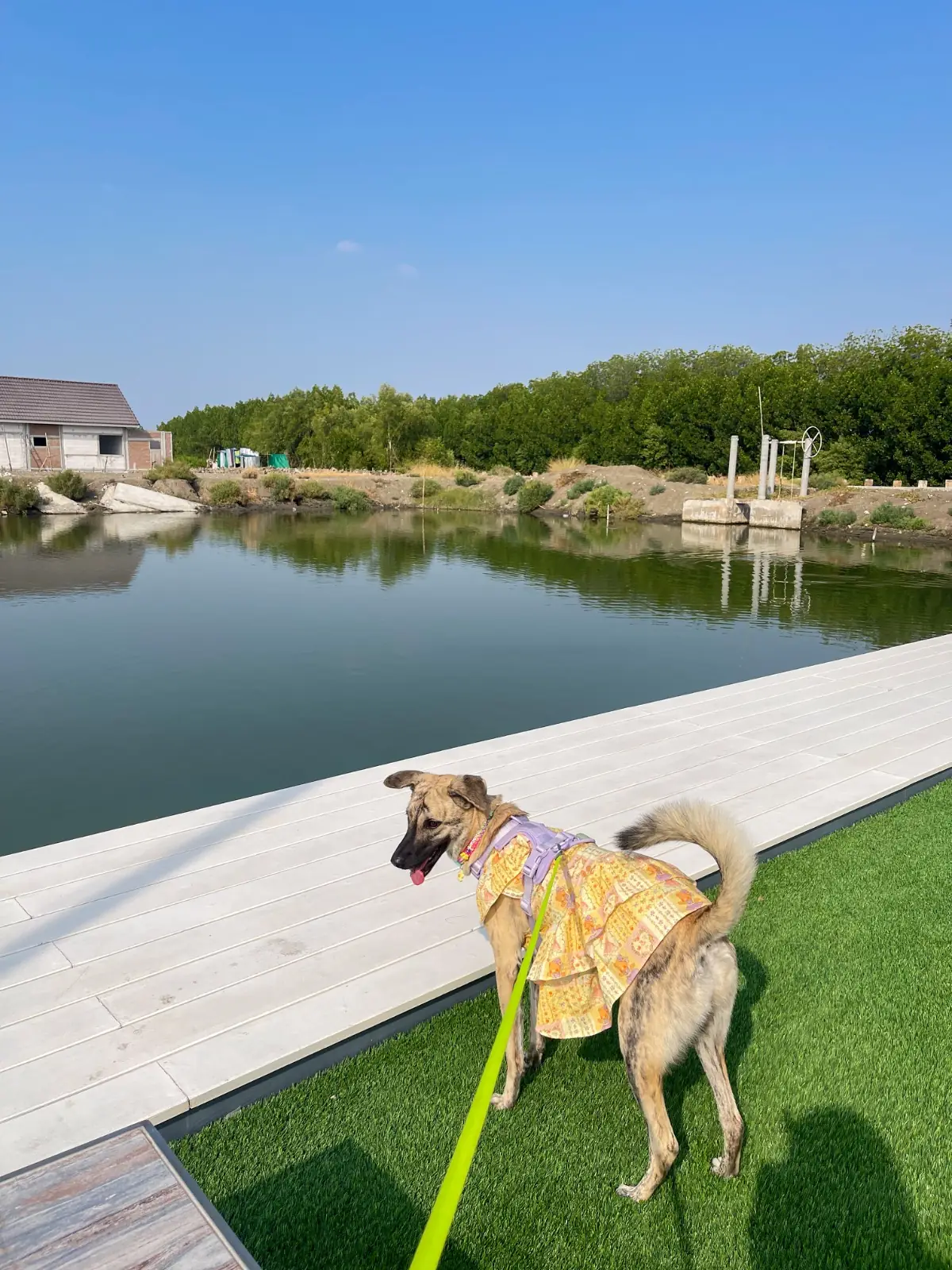 U Cafe & Craft pets image 1