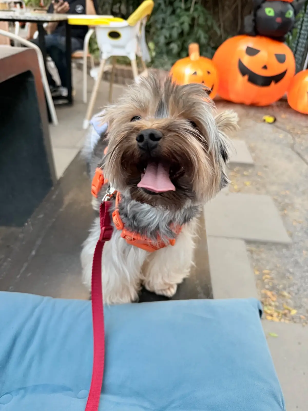 จามจุรี เฮ้าส์ other image 2