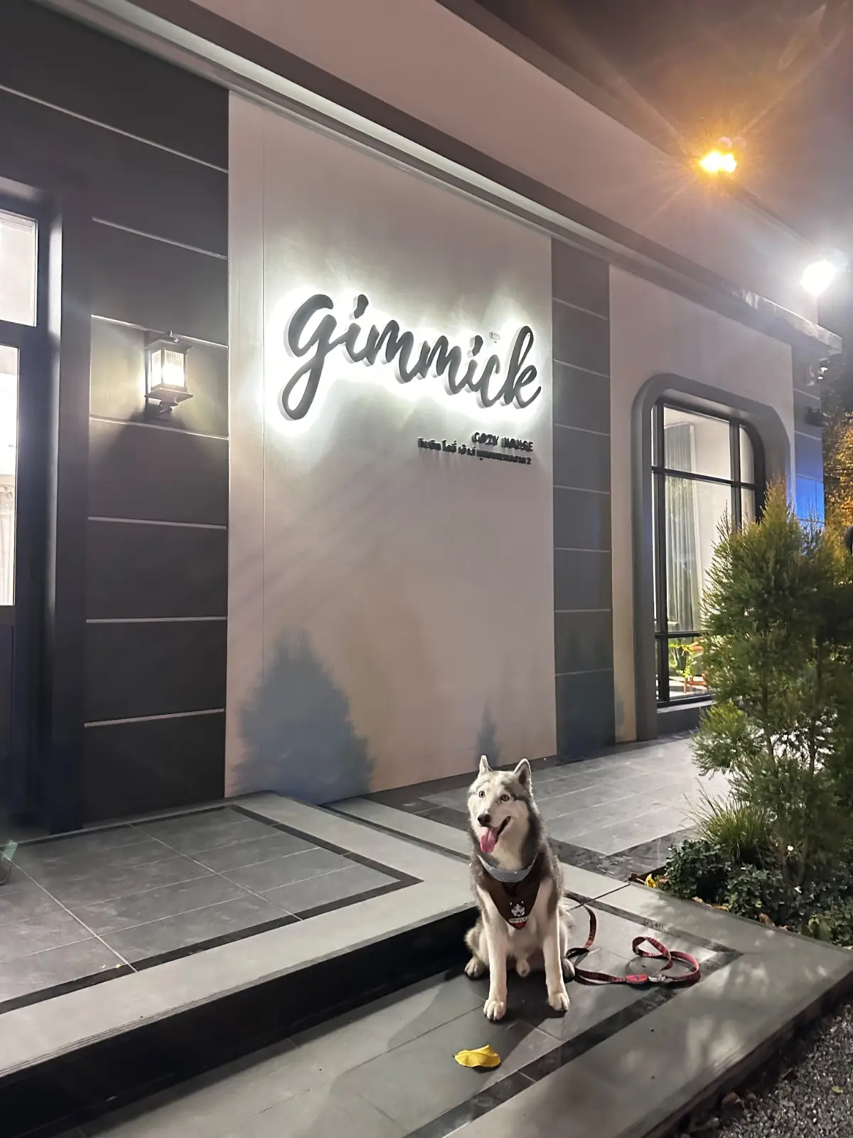 Gimmick Cozy House pets image 2