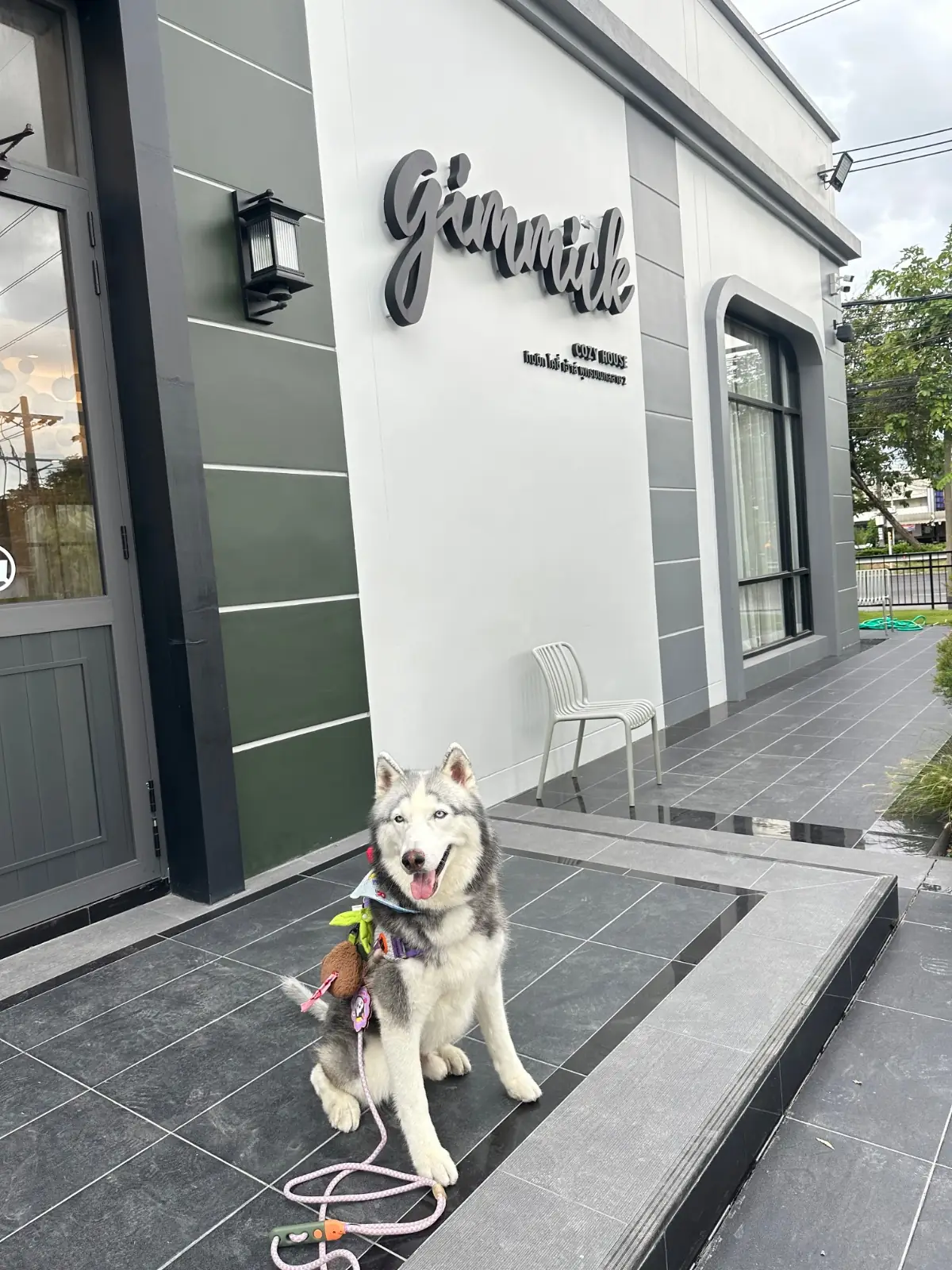 Gimmick Cozy House pets image 5