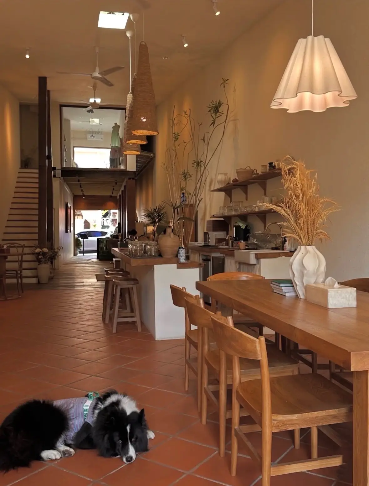 CHAAN Tea House - Chiangmai pets image 2