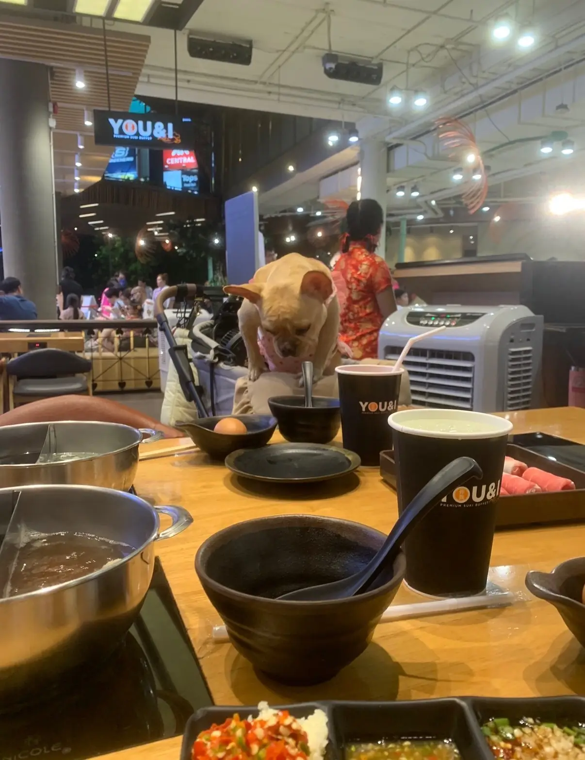 You & I - Central Eastville other image 2