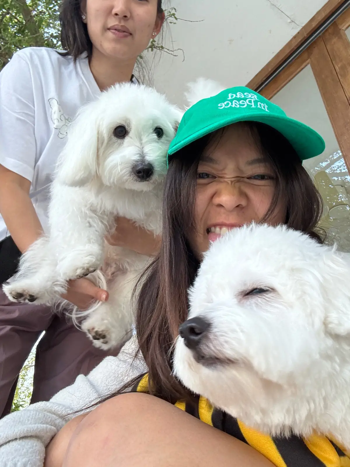 LAGOM specialty coffee pets image 2