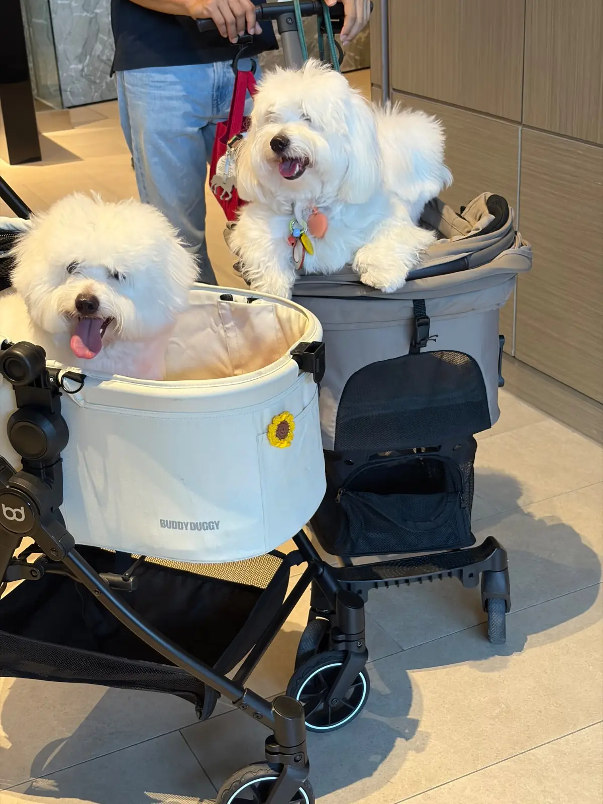 VE/LA Central Park pets image 1