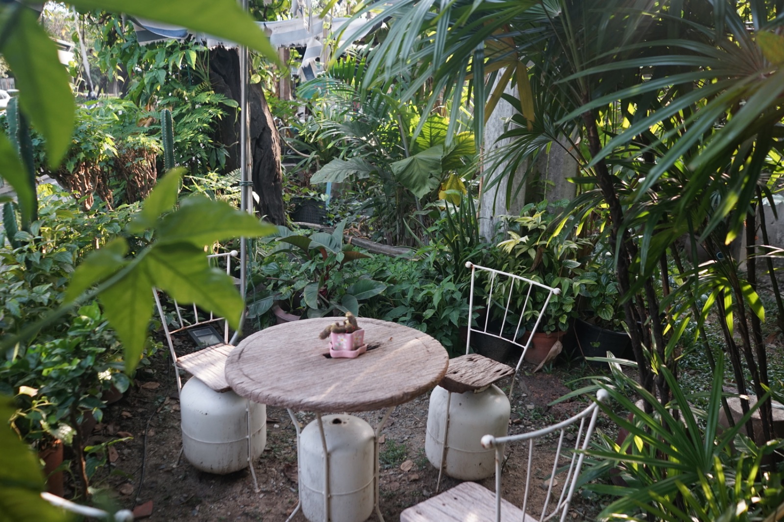 ครัวเก่าเก็บ ambiance image 16