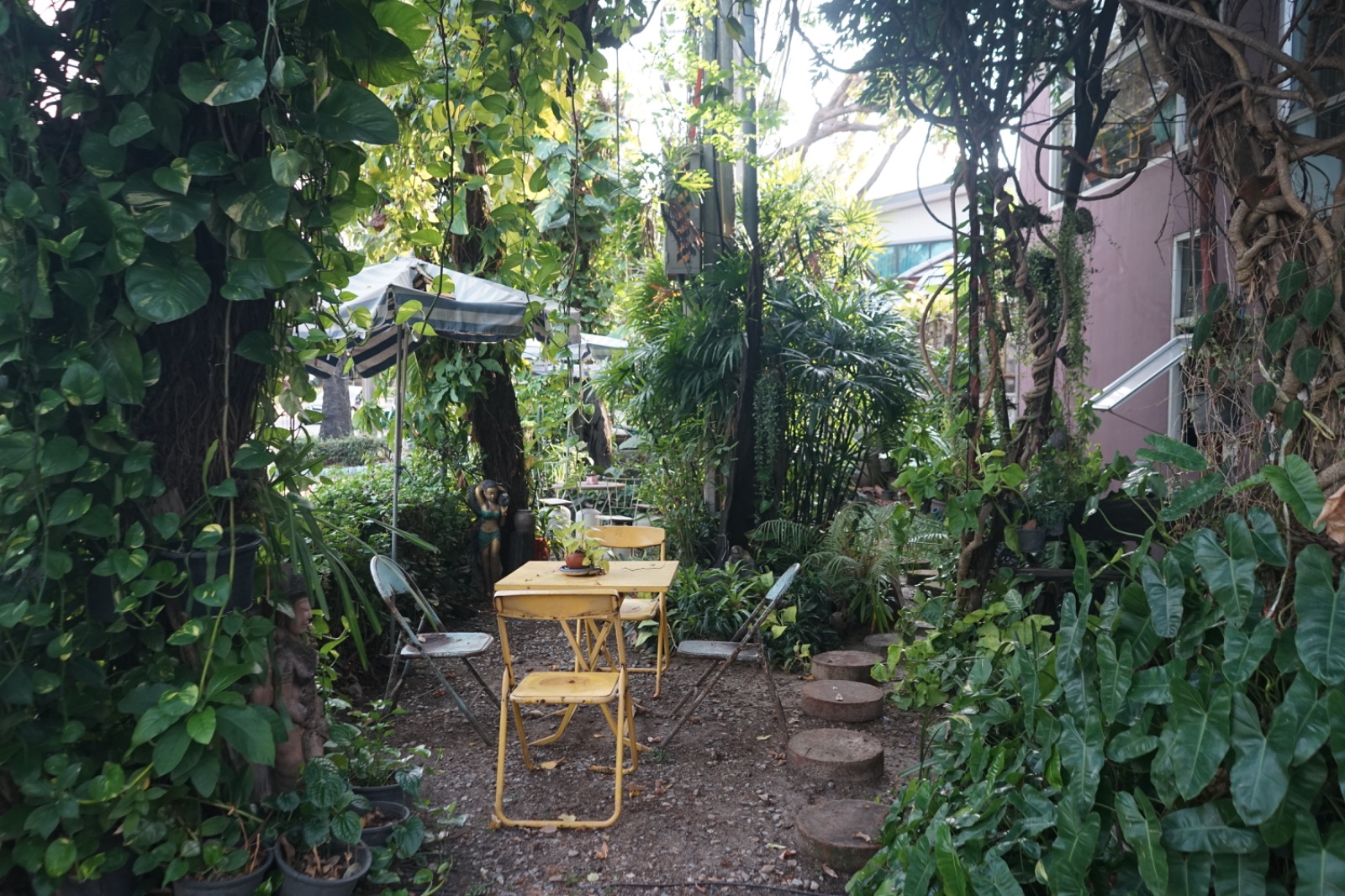 ครัวเก่าเก็บ ambiance image 11