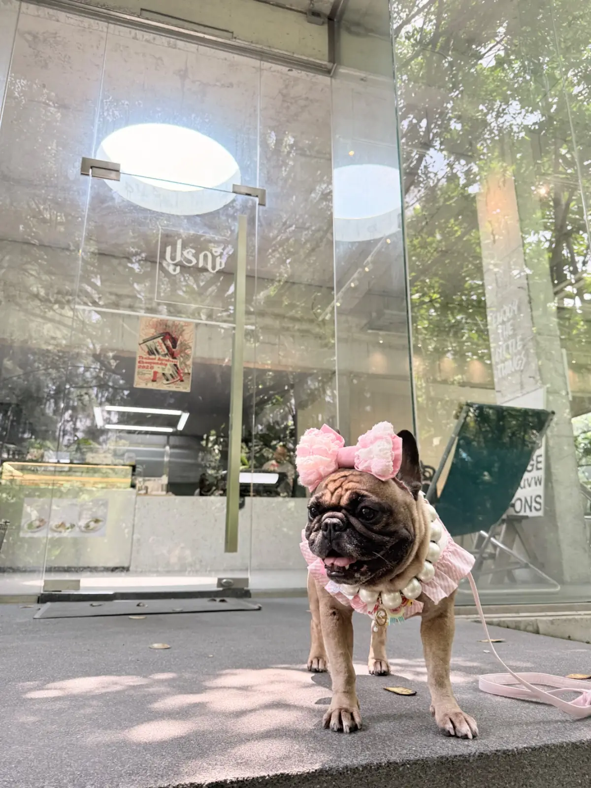ร้านปูรณ์ pets image 3