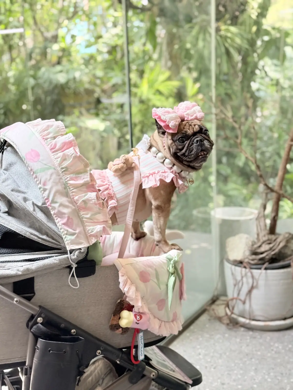 ร้านปูรณ์ pets image 1