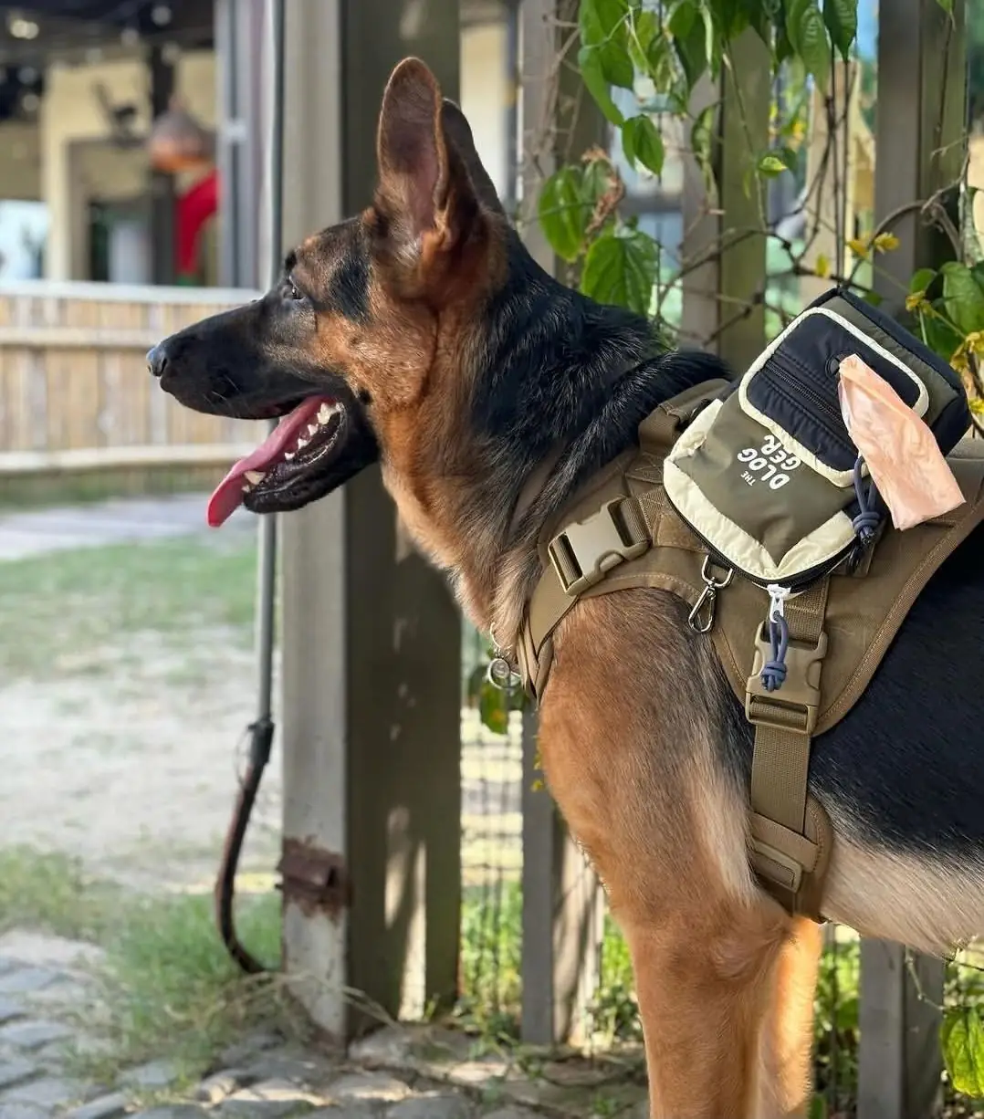 Trail and Tail pets image 2