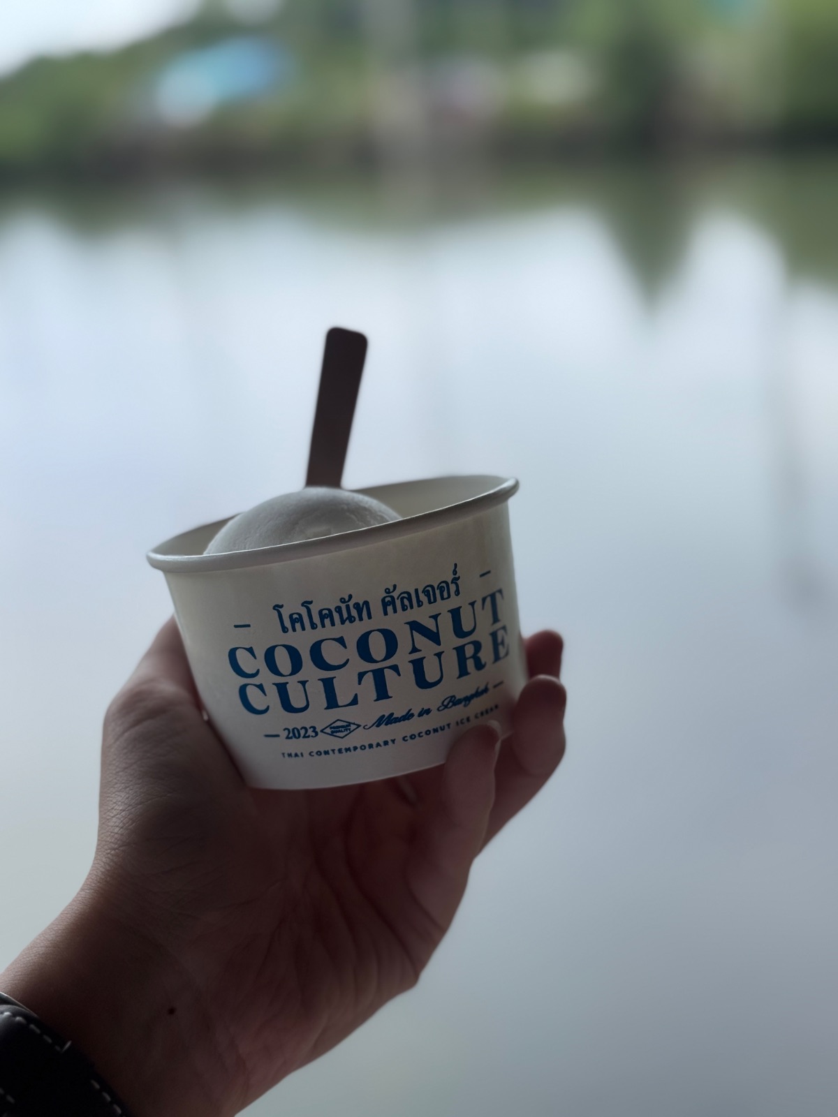 Pulse Bang Khun Thian food image 1