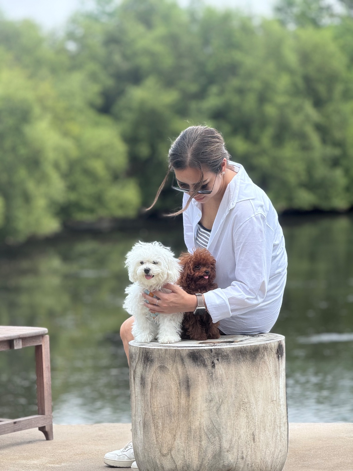 Pulse Bang Khun Thian pets image 2