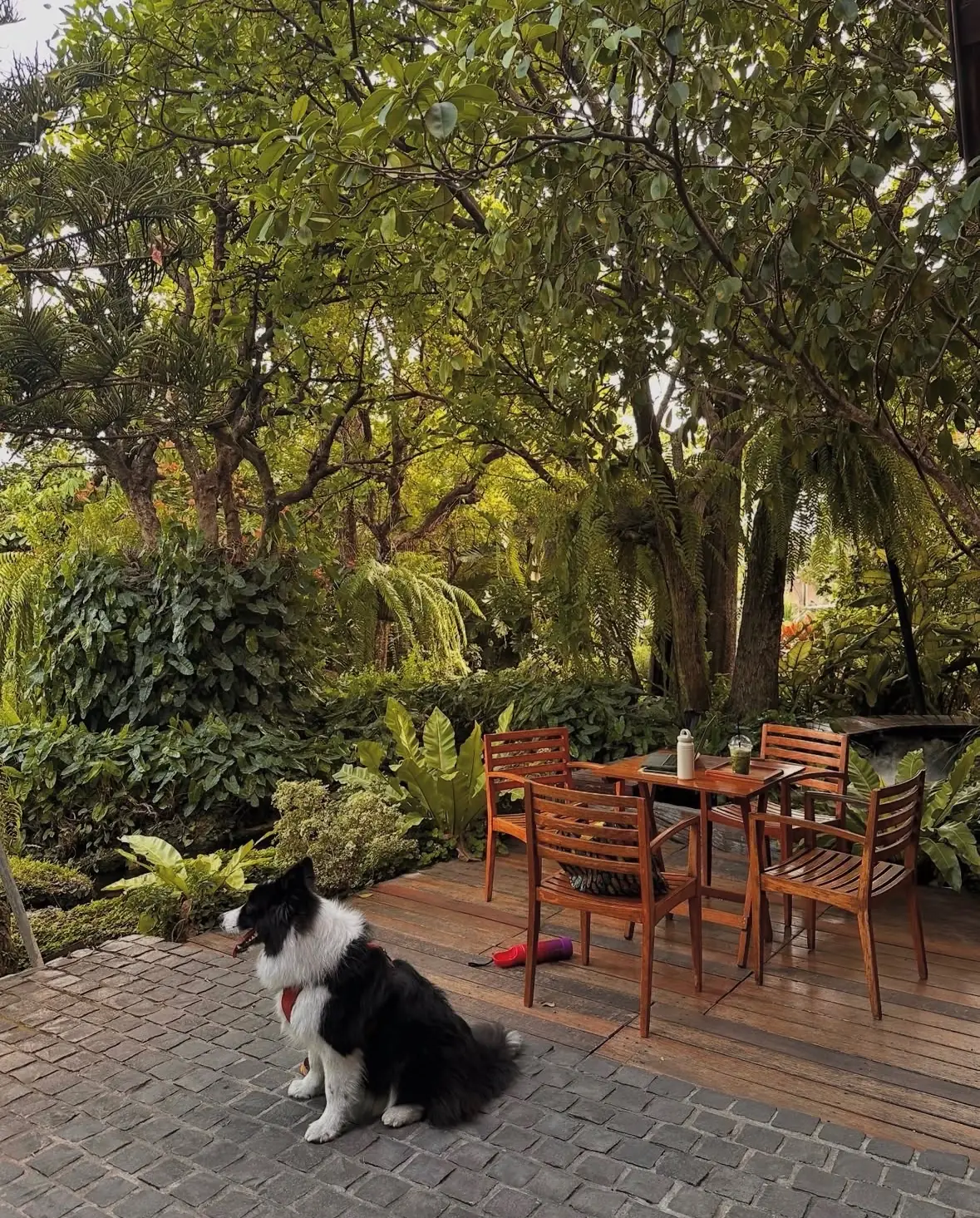 Lifehouse Cafe & Kitchen overall image 3