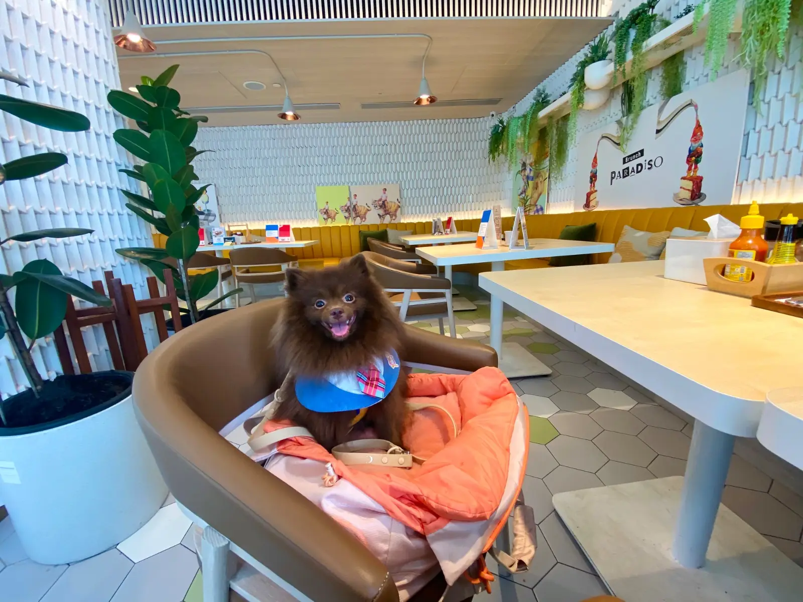 Brunch Paradiso other image 4