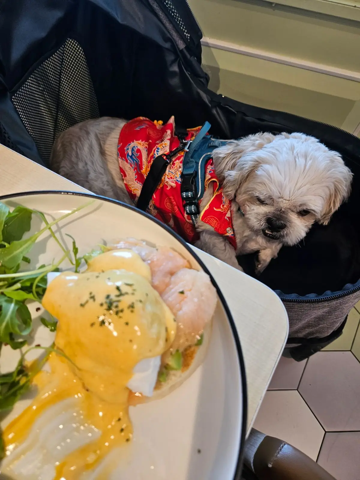 Brunch Paradiso other image 1