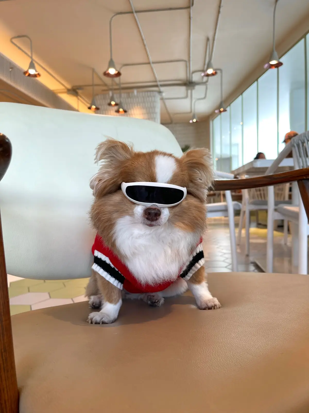 Brunch Paradiso other image 2