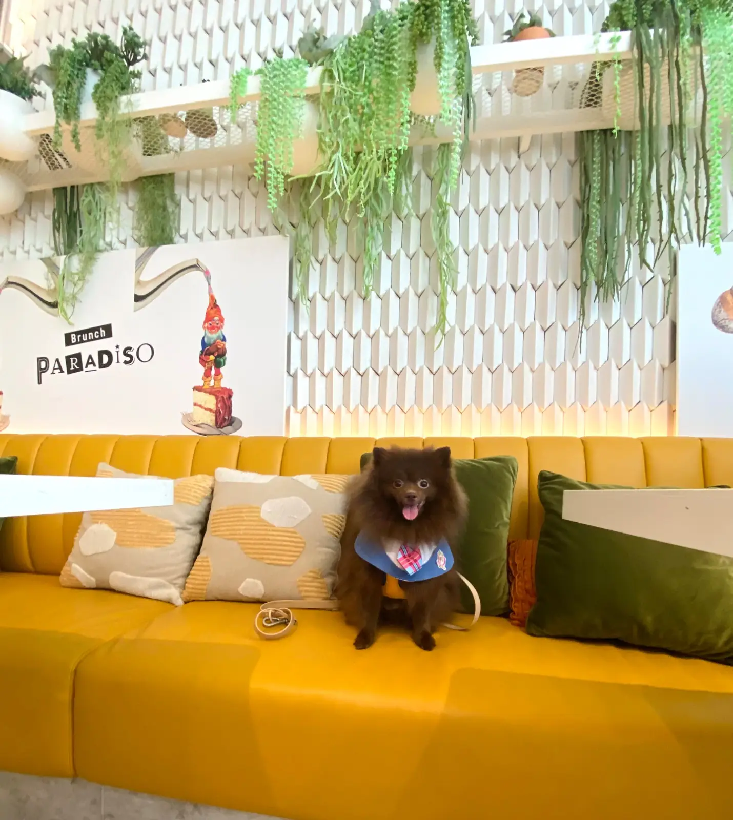Brunch Paradiso other image 2