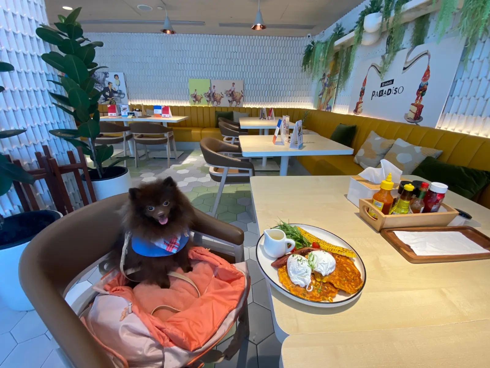 Brunch Paradiso other image 8