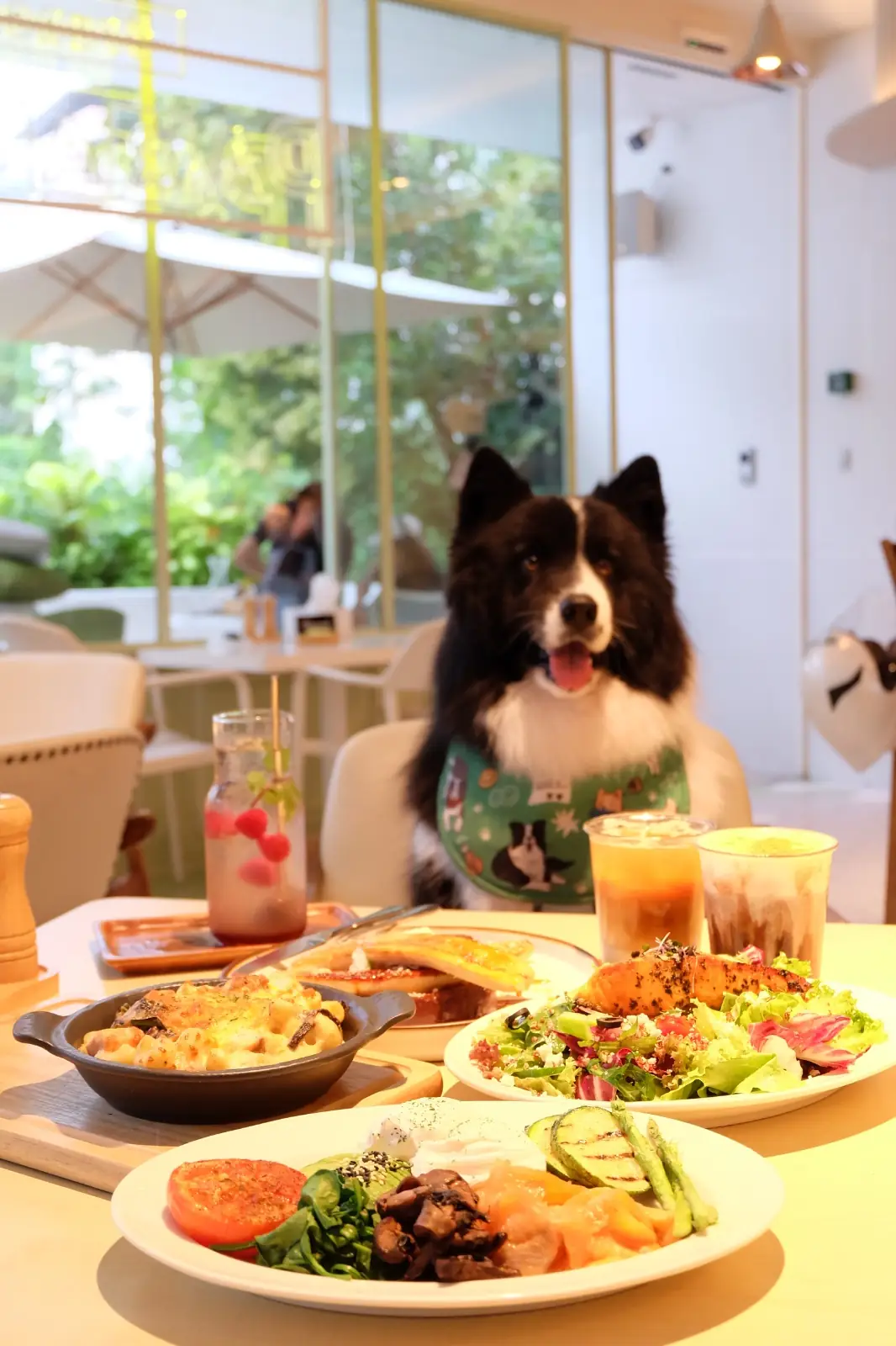 Brunch Paradiso pets image 7
