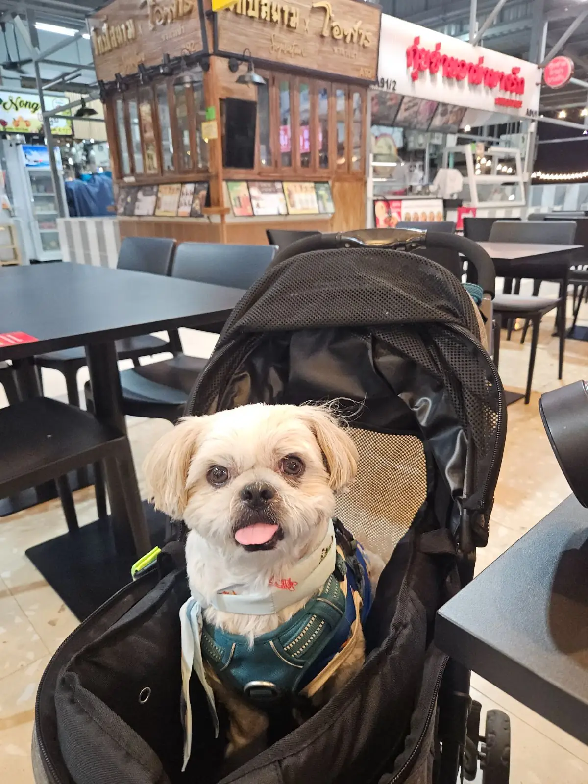 ตลาดวงศ์เจริญ pets image 1