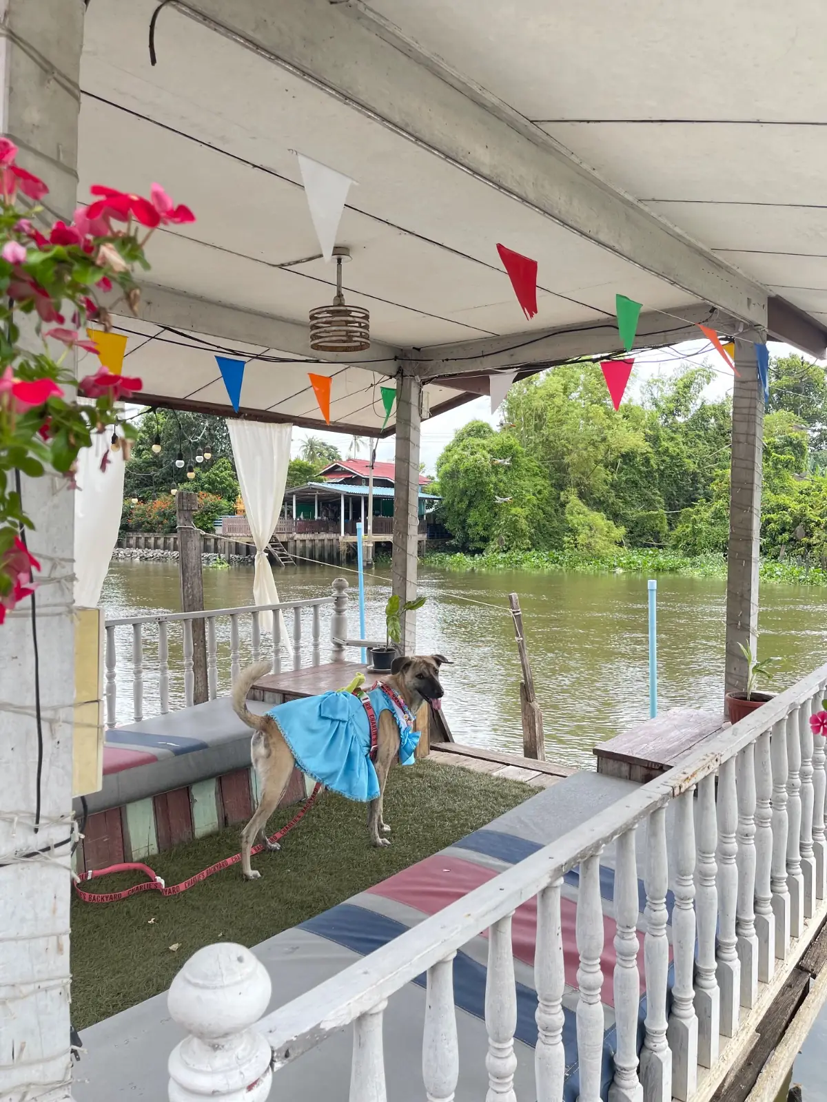 ทรีแมงโก้ บ้านไทย ชายคลอง overall image 1
