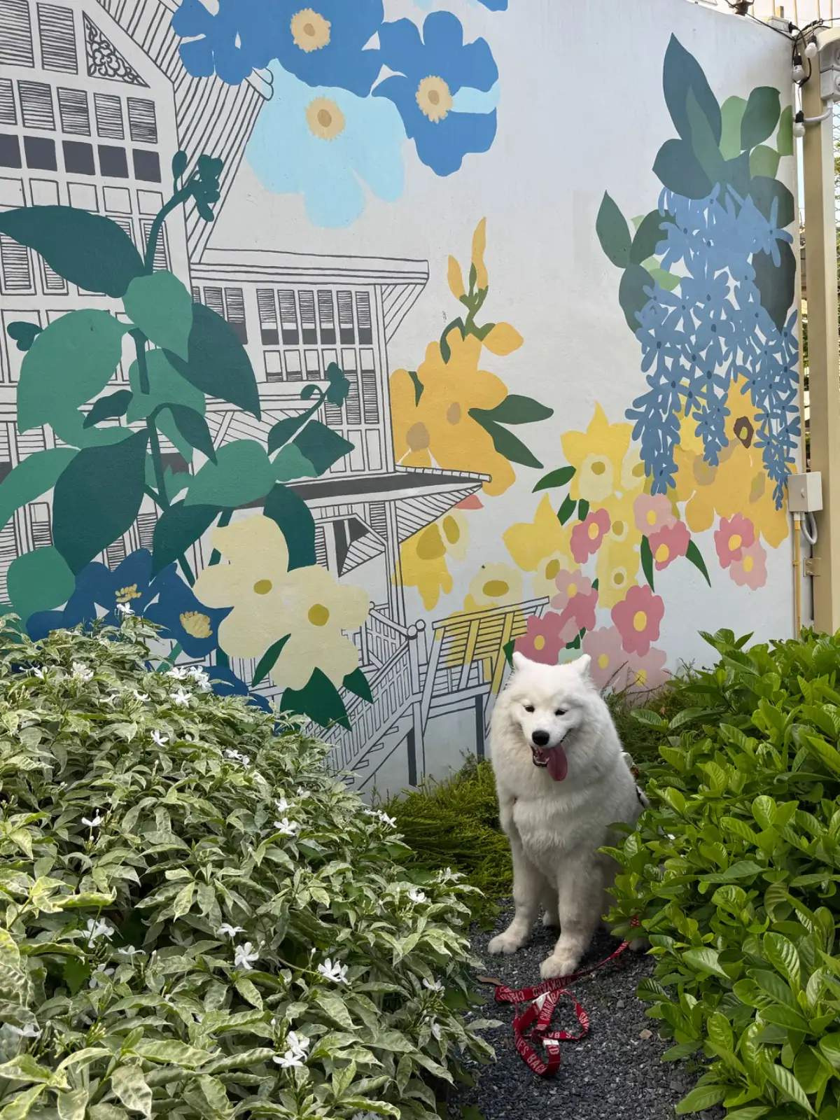Station Sen Sot pets image 2