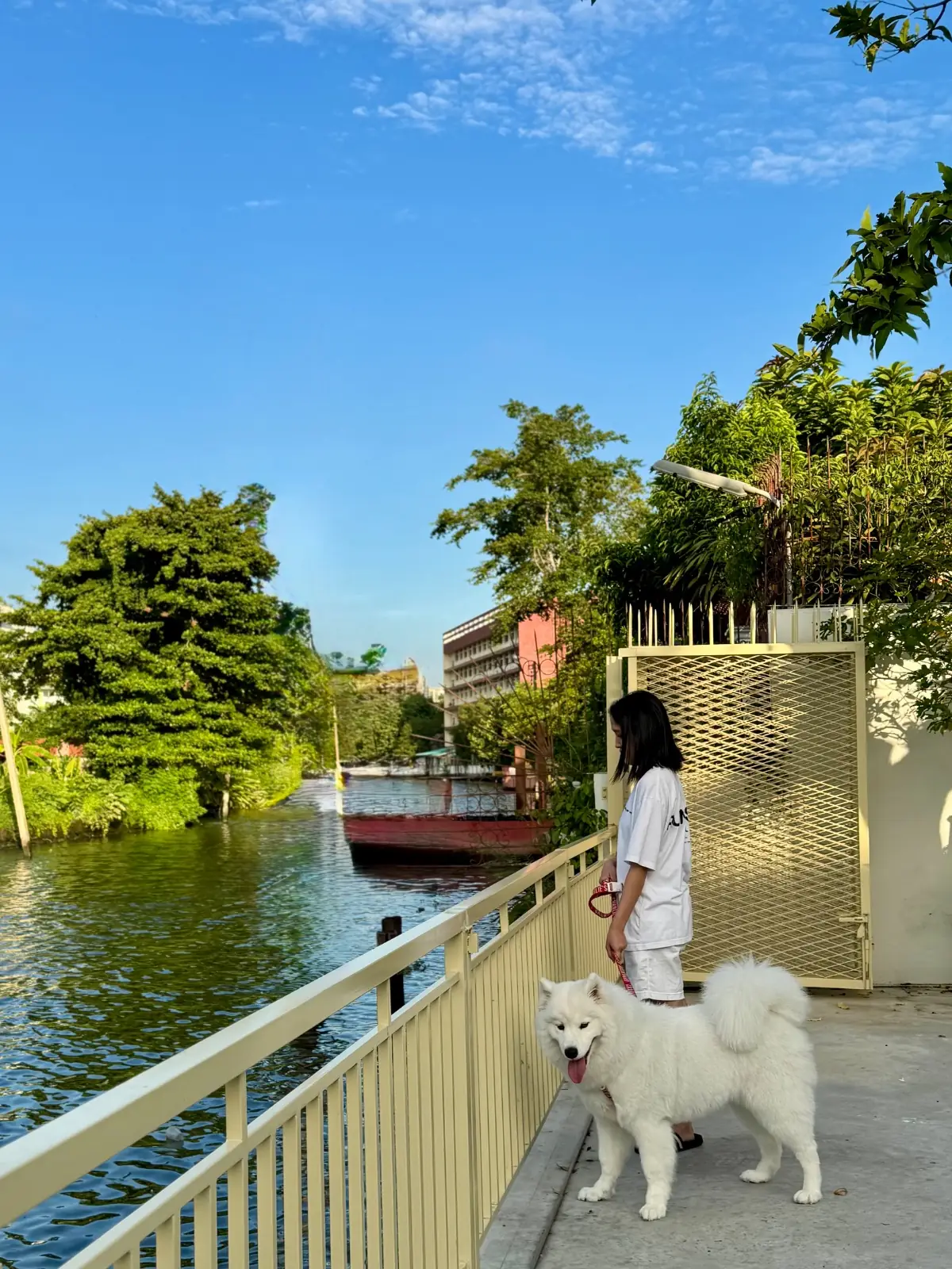 Station Sen Sot pets image 3