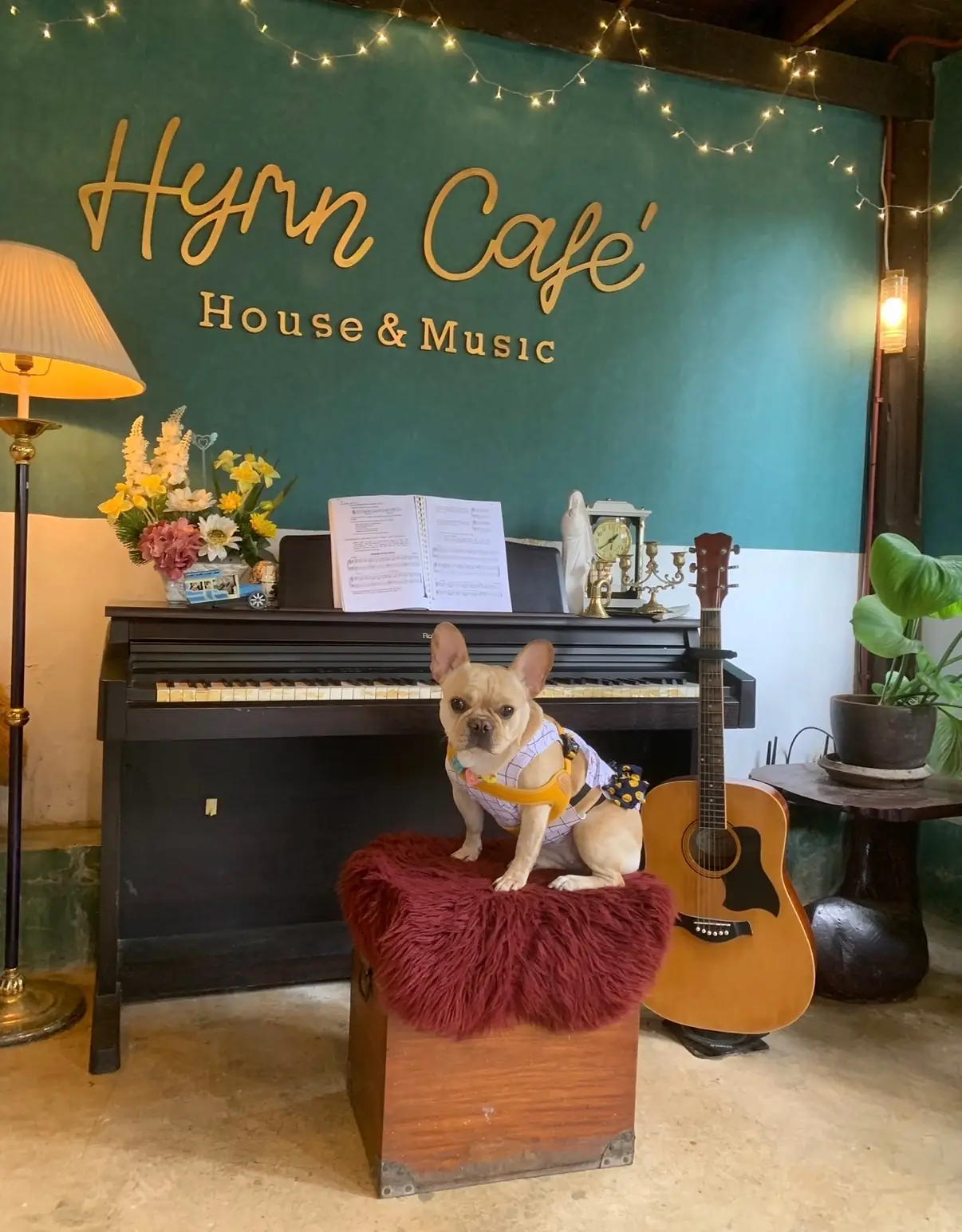 Hymn Cafe other image 2