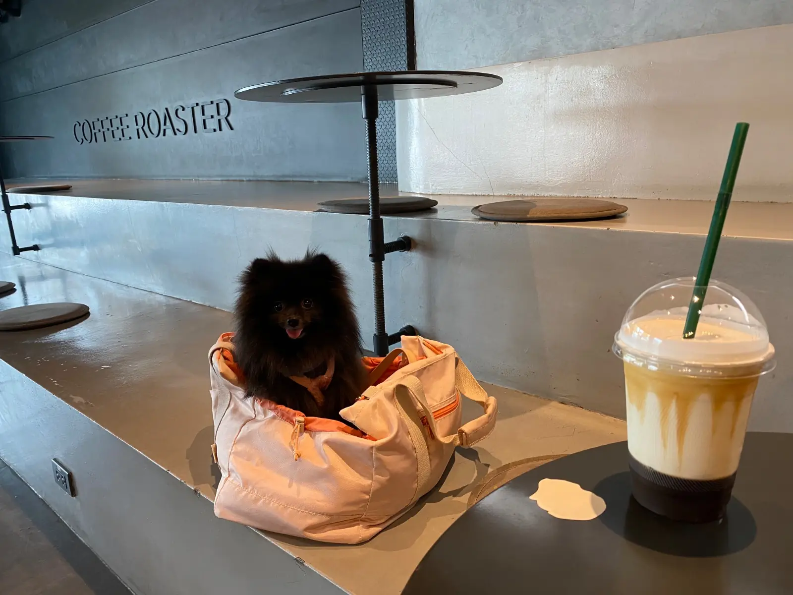 Bottomless Flagship Store pets image 2