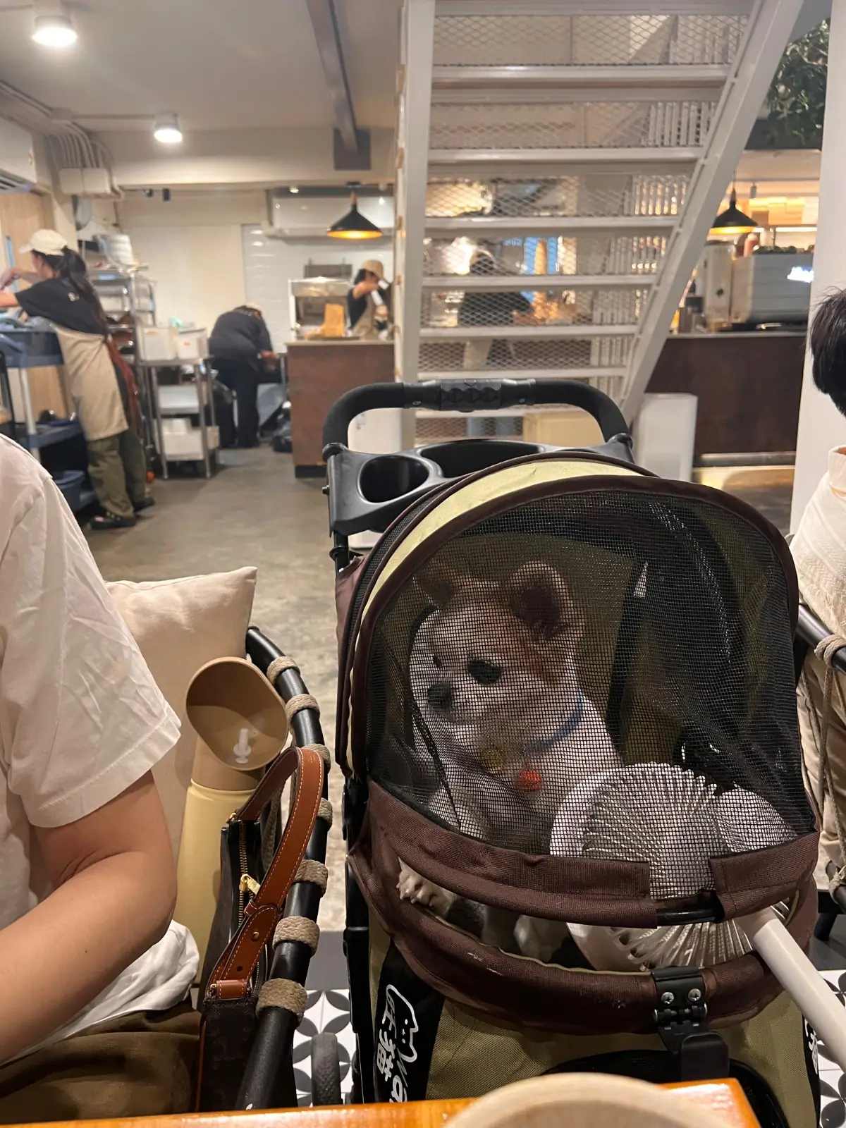 BARTELS Sathorn pets image 2