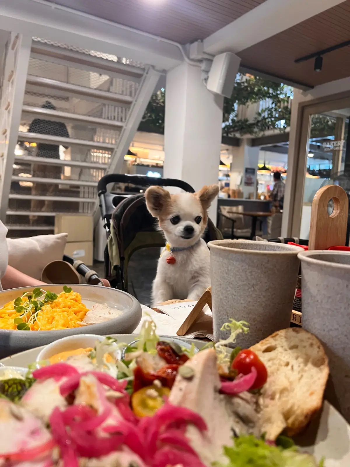BARTELS Sathorn pets image 1
